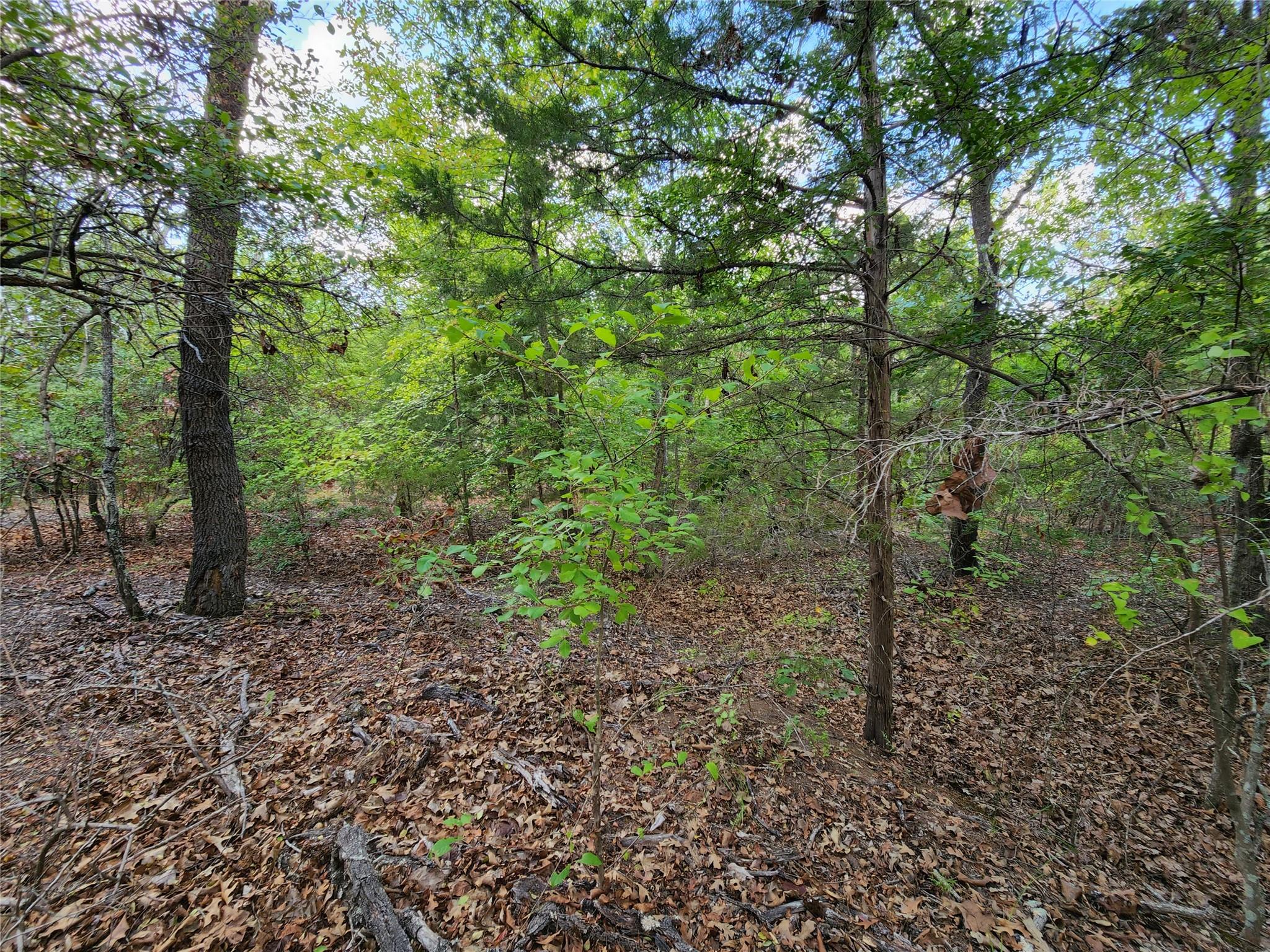 main property photo 23