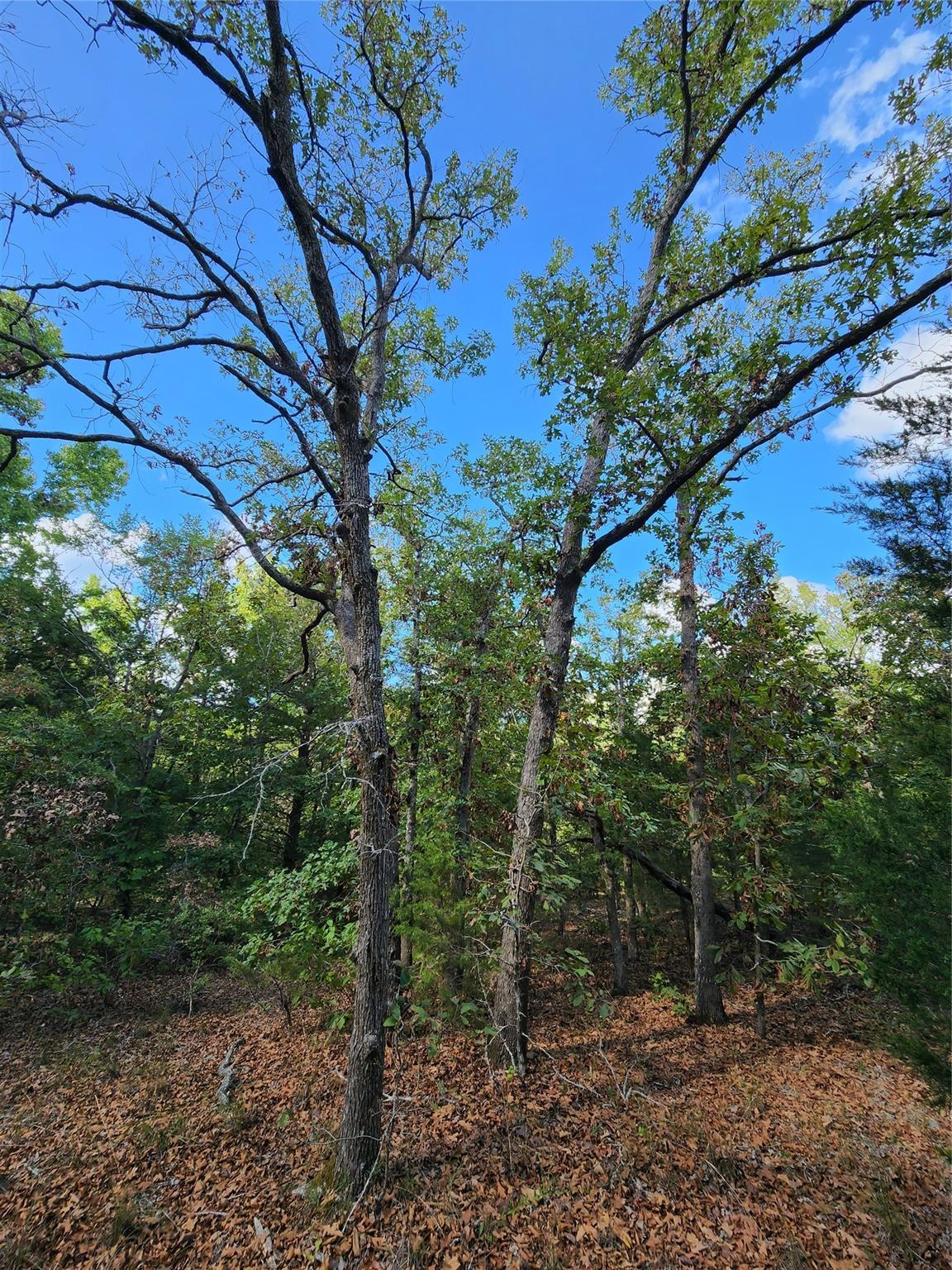 main property photo 24