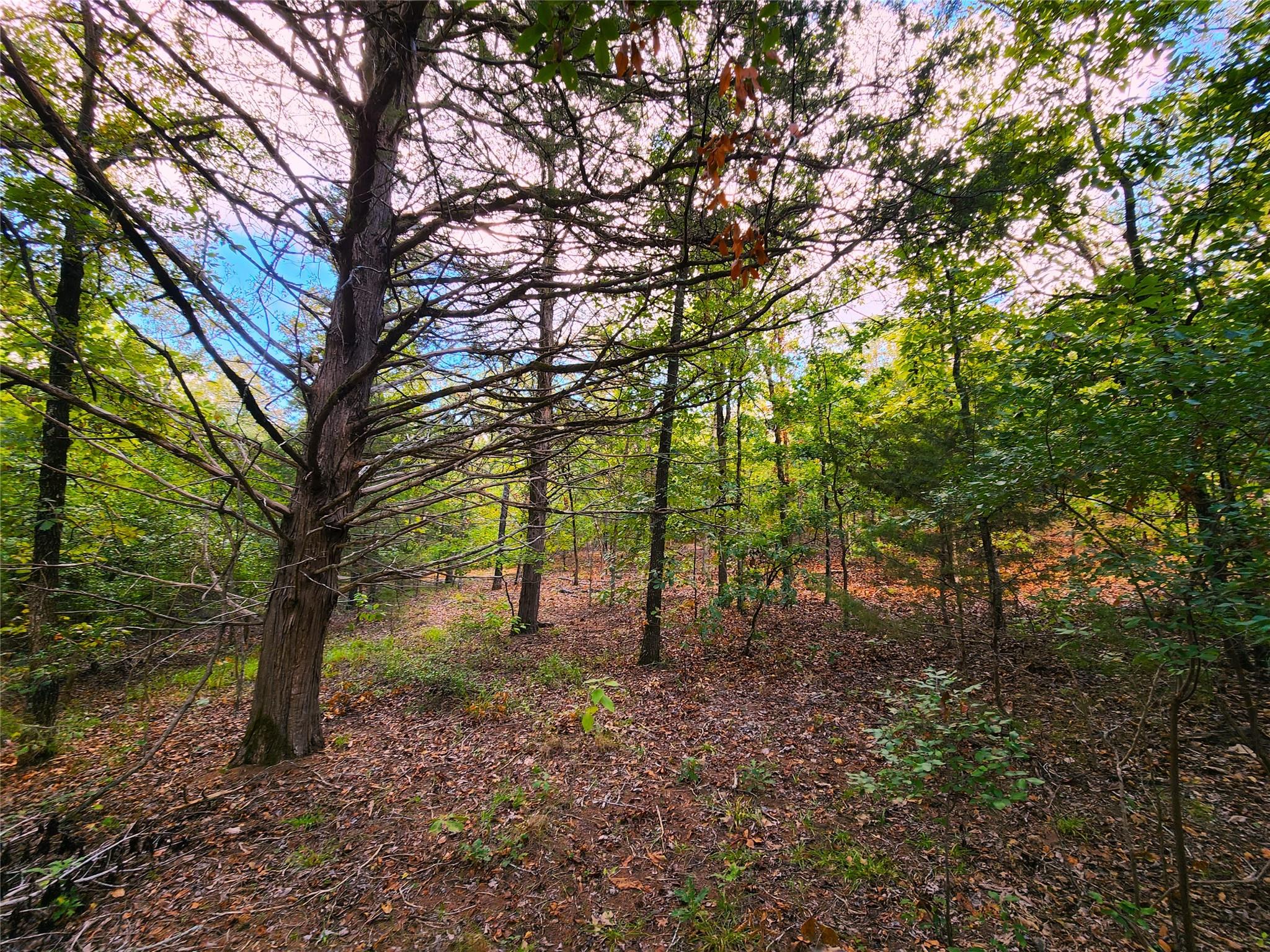 main property photo 27