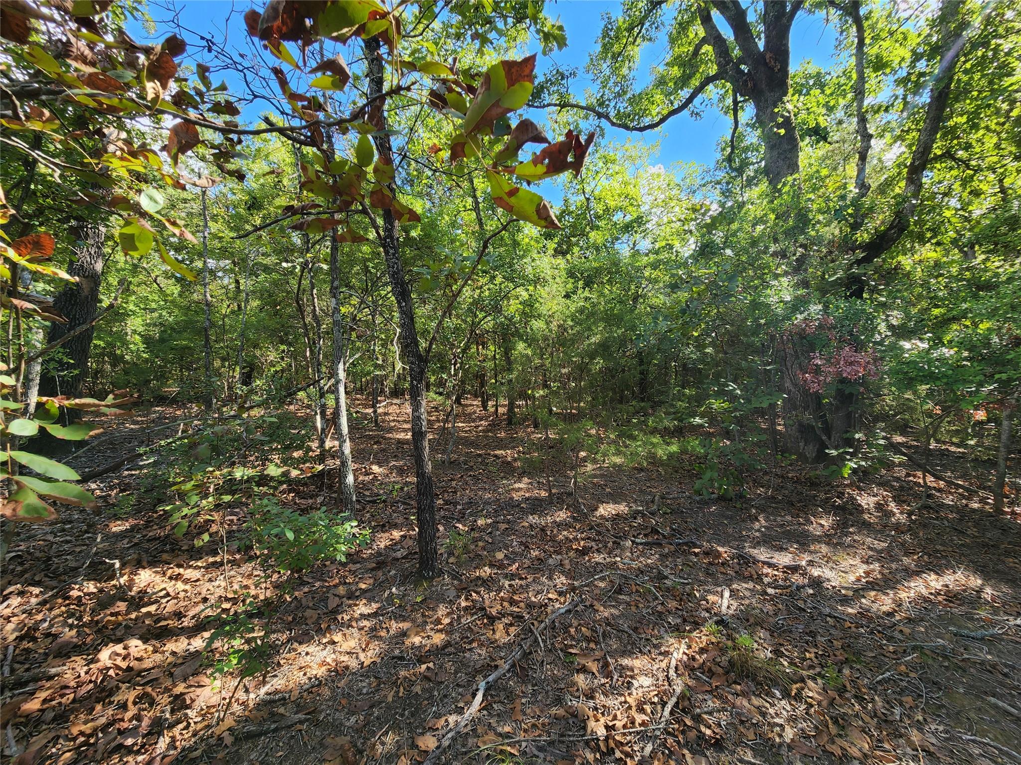 main property photo 28