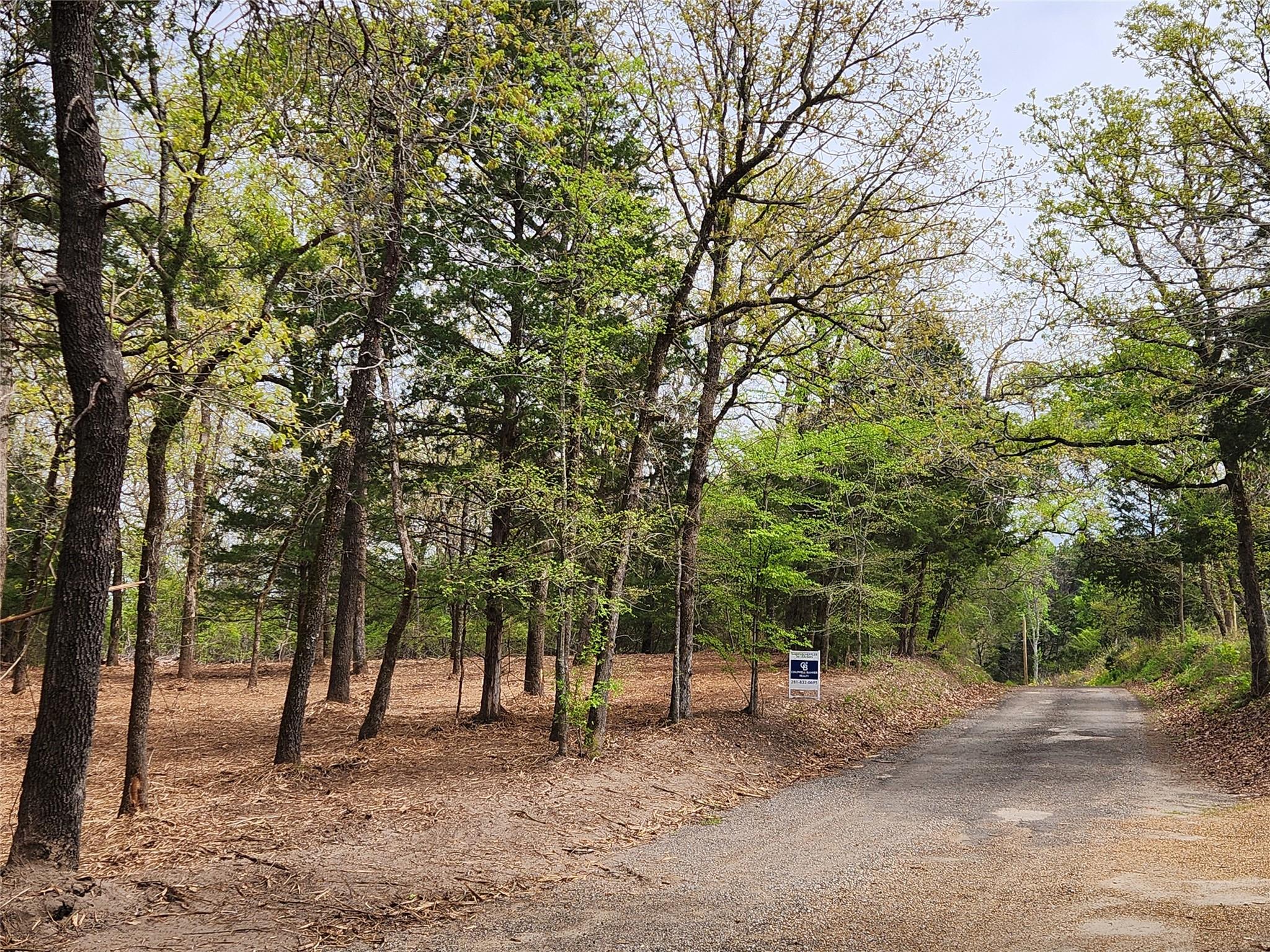 main property photo 6