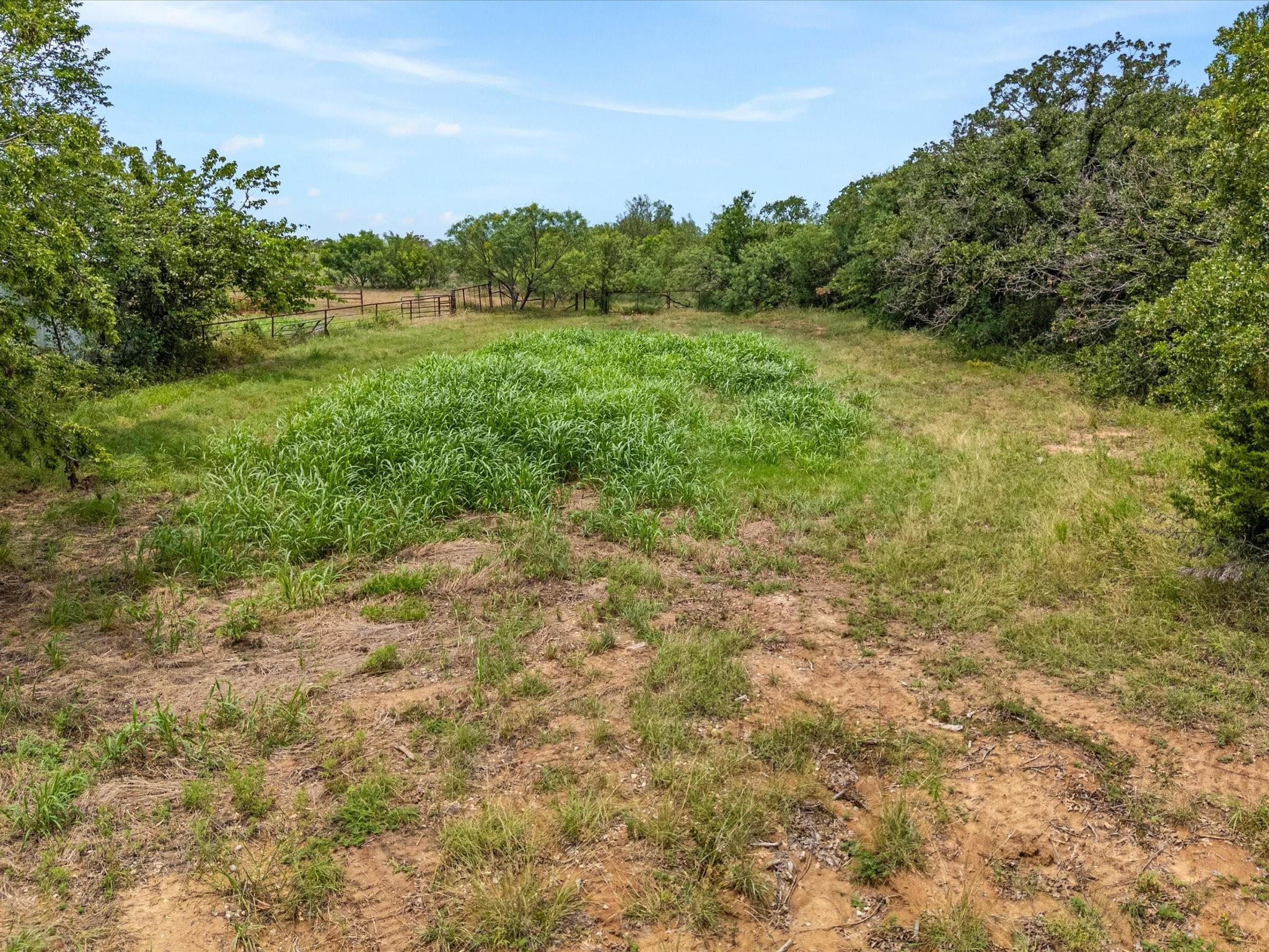main property photo 18