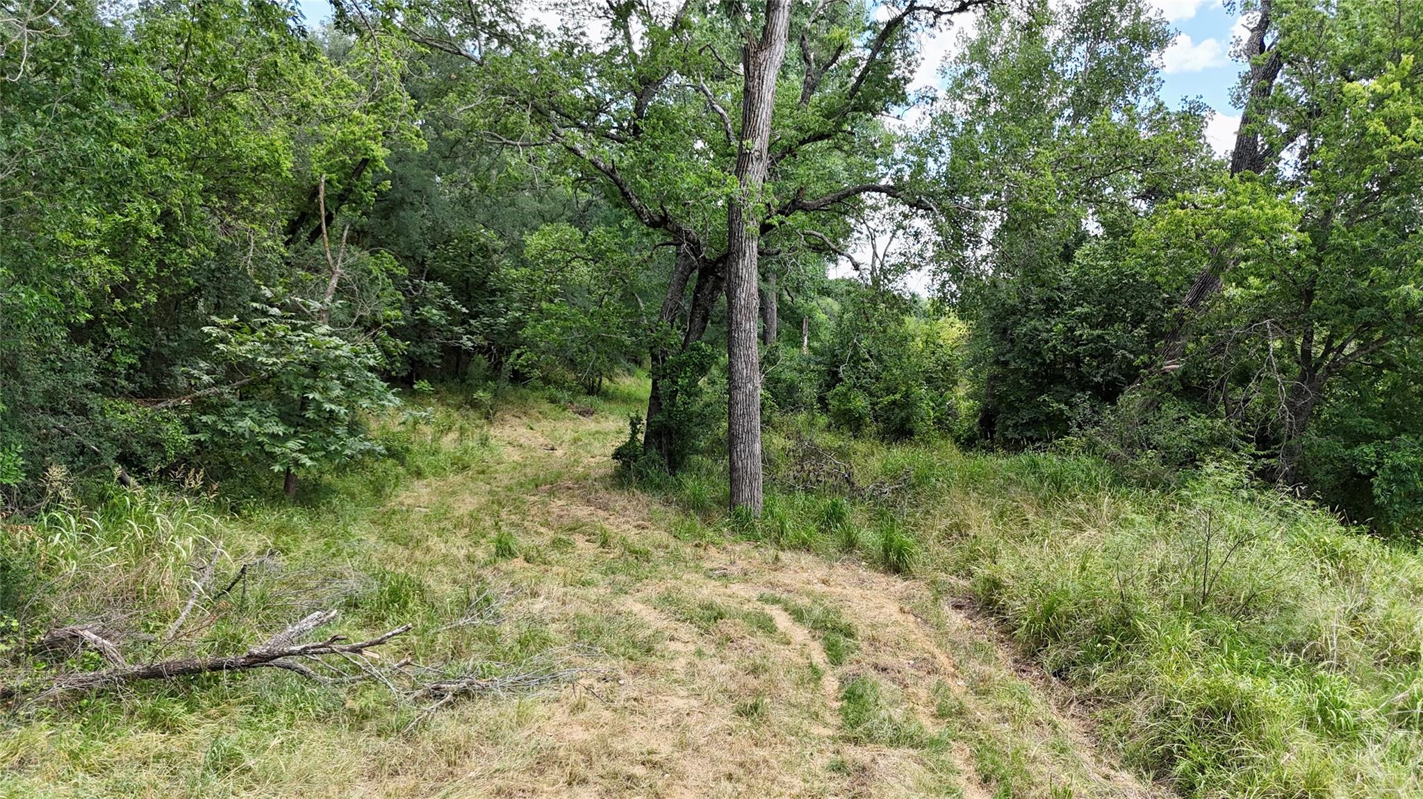 main property photo 17