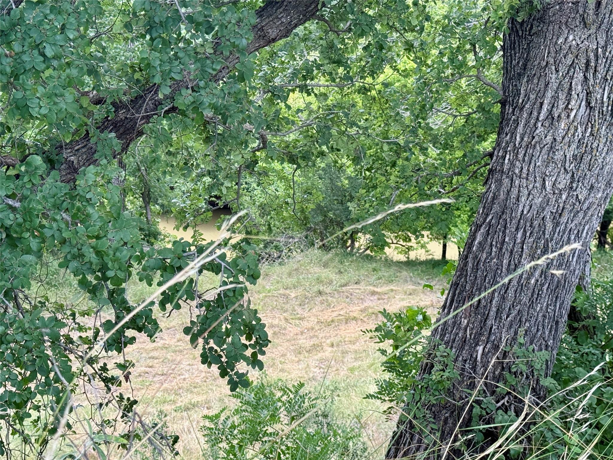 main property photo 29