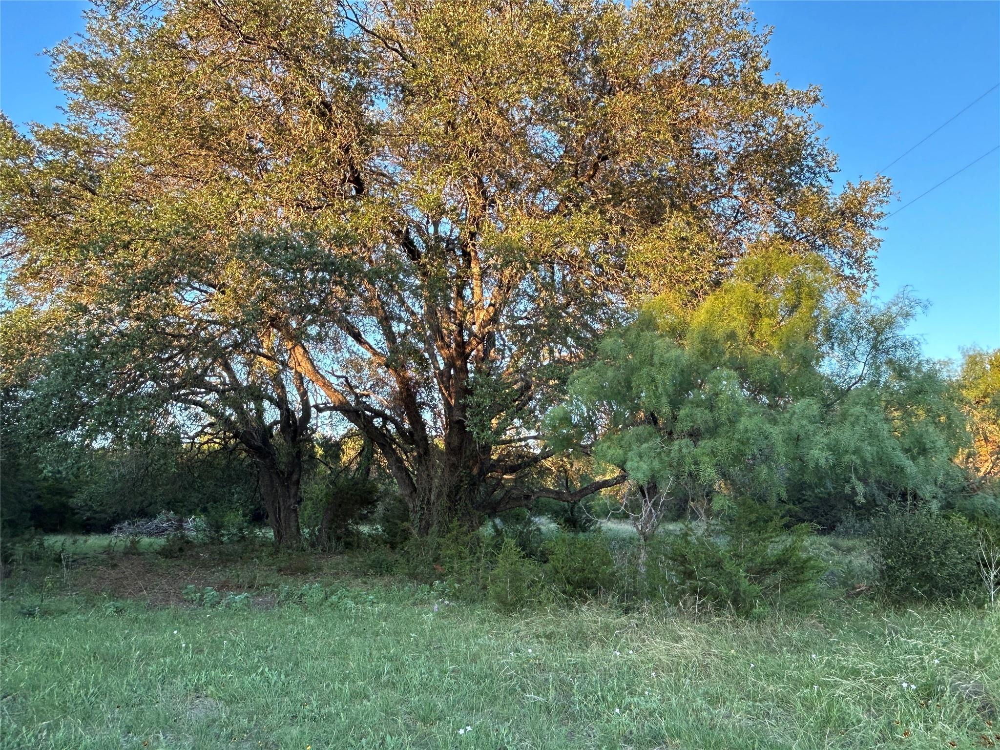 main property photo 19