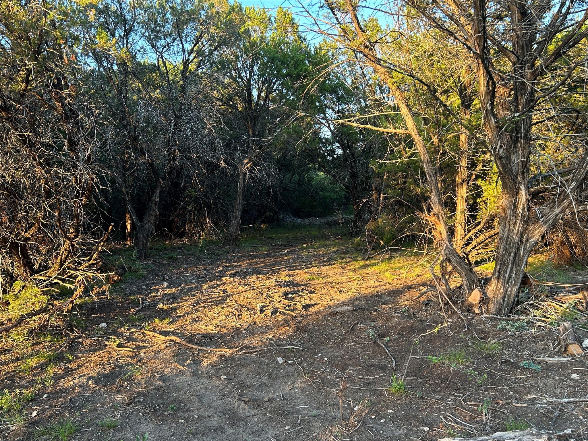 main property photo 21