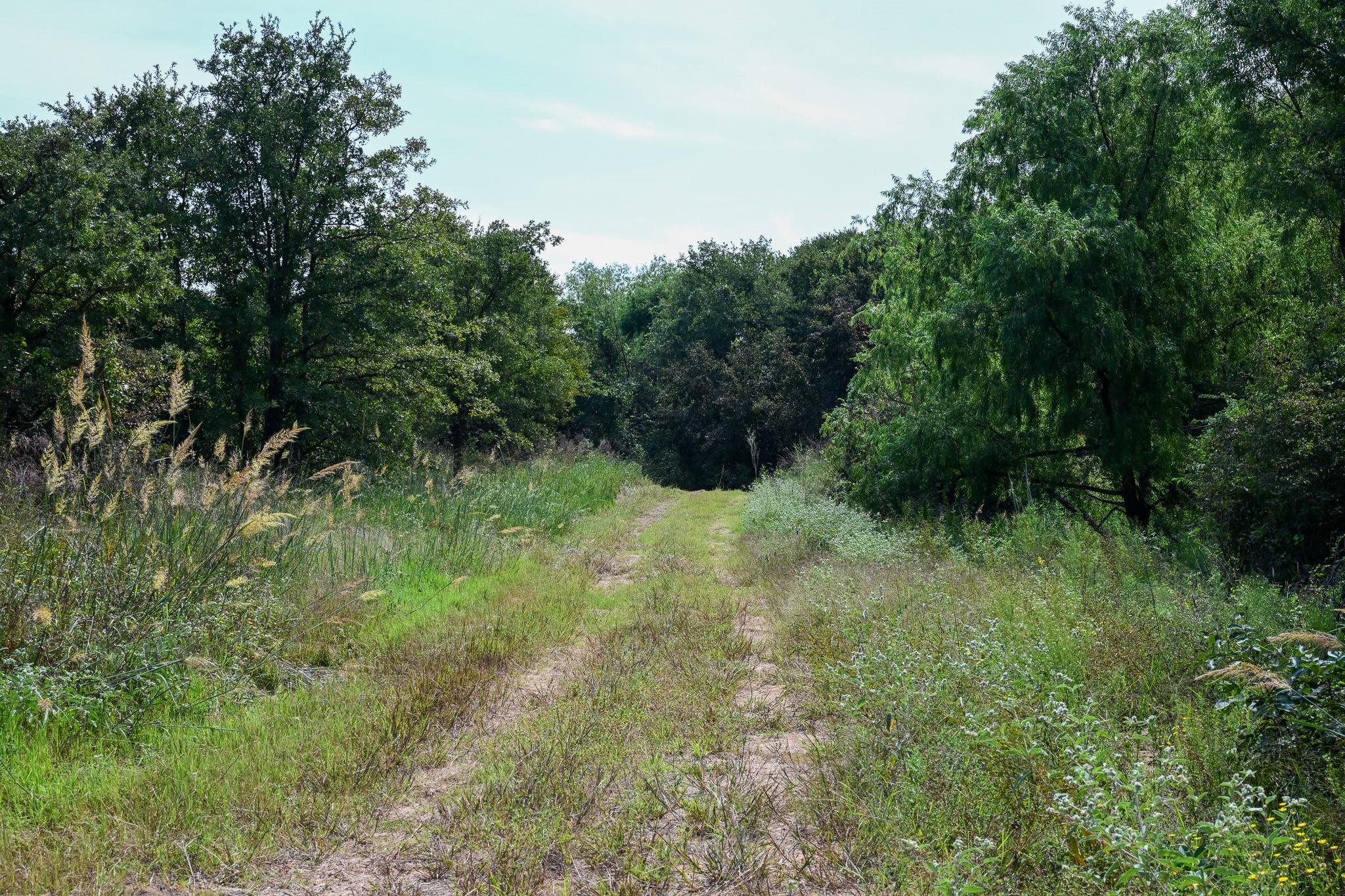 main property photo 15