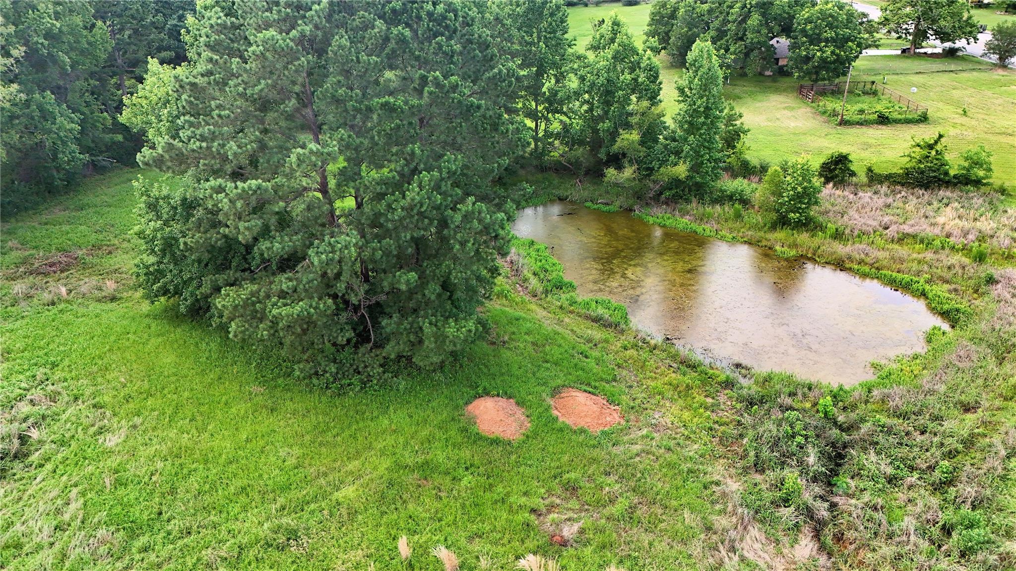 main property photo 19