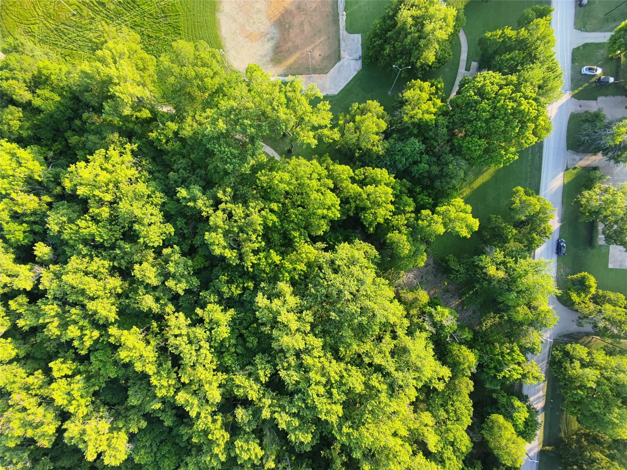 main property photo 11