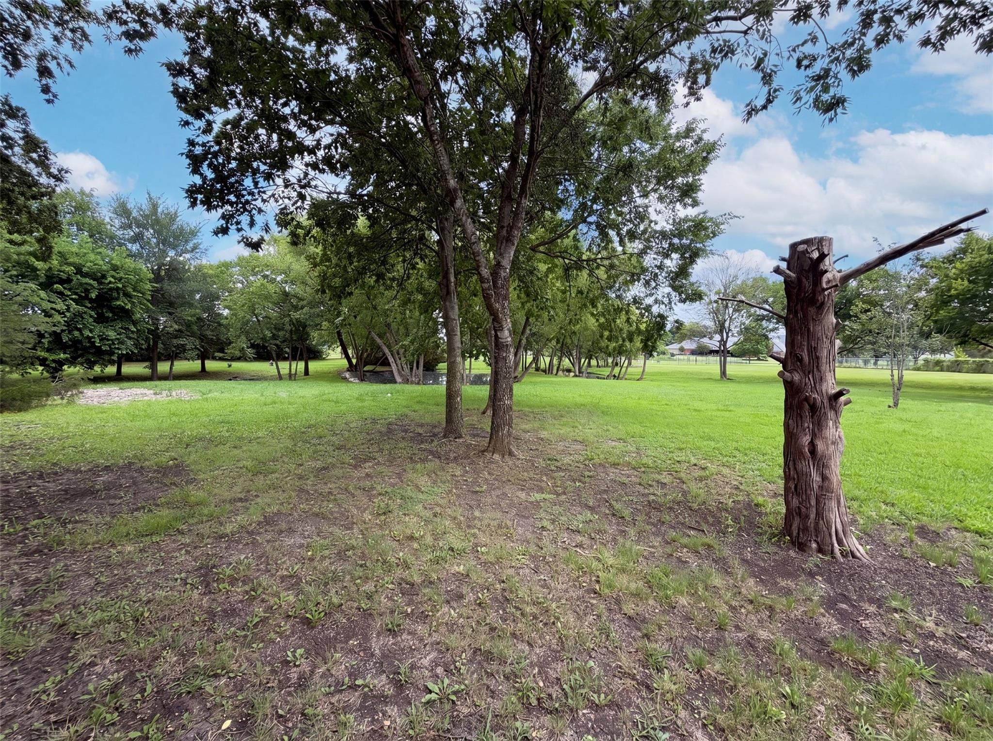 main property photo 31