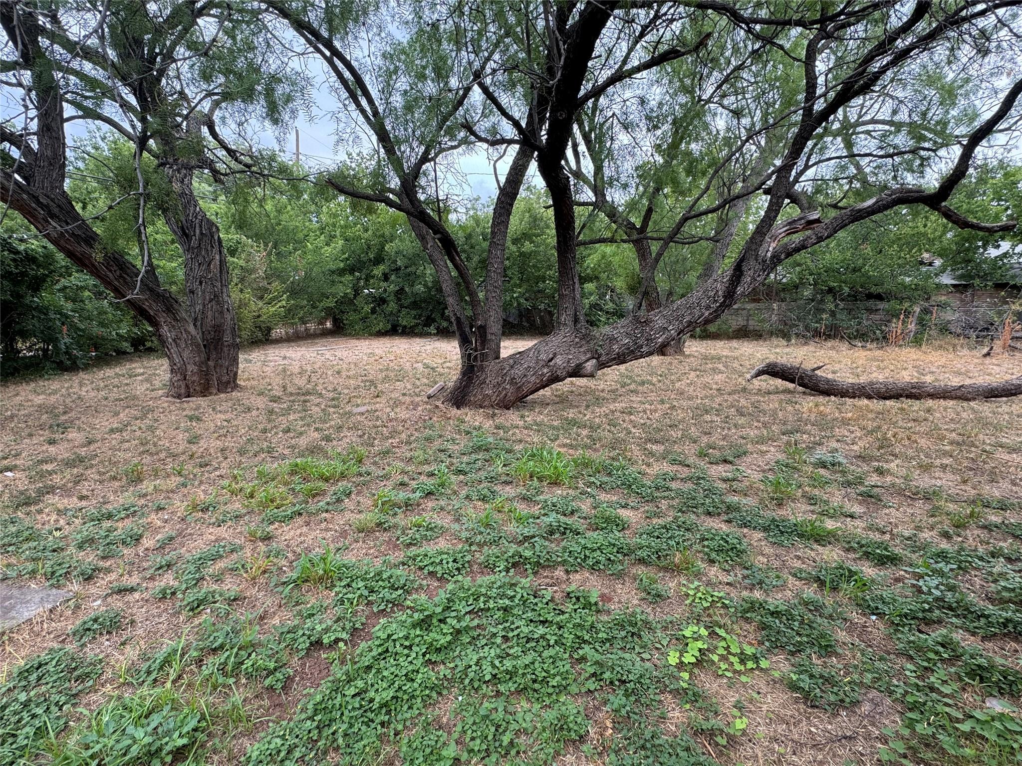 main property photo 25