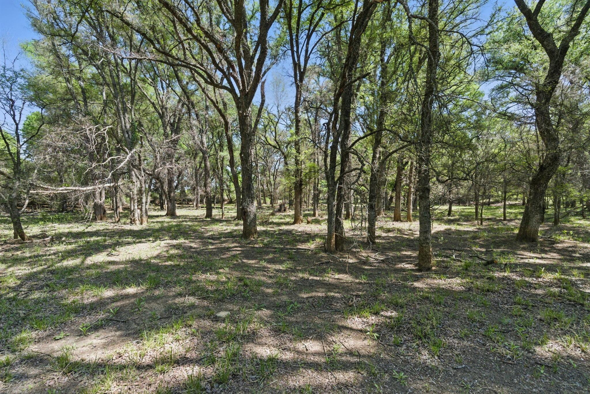 main property photo 36