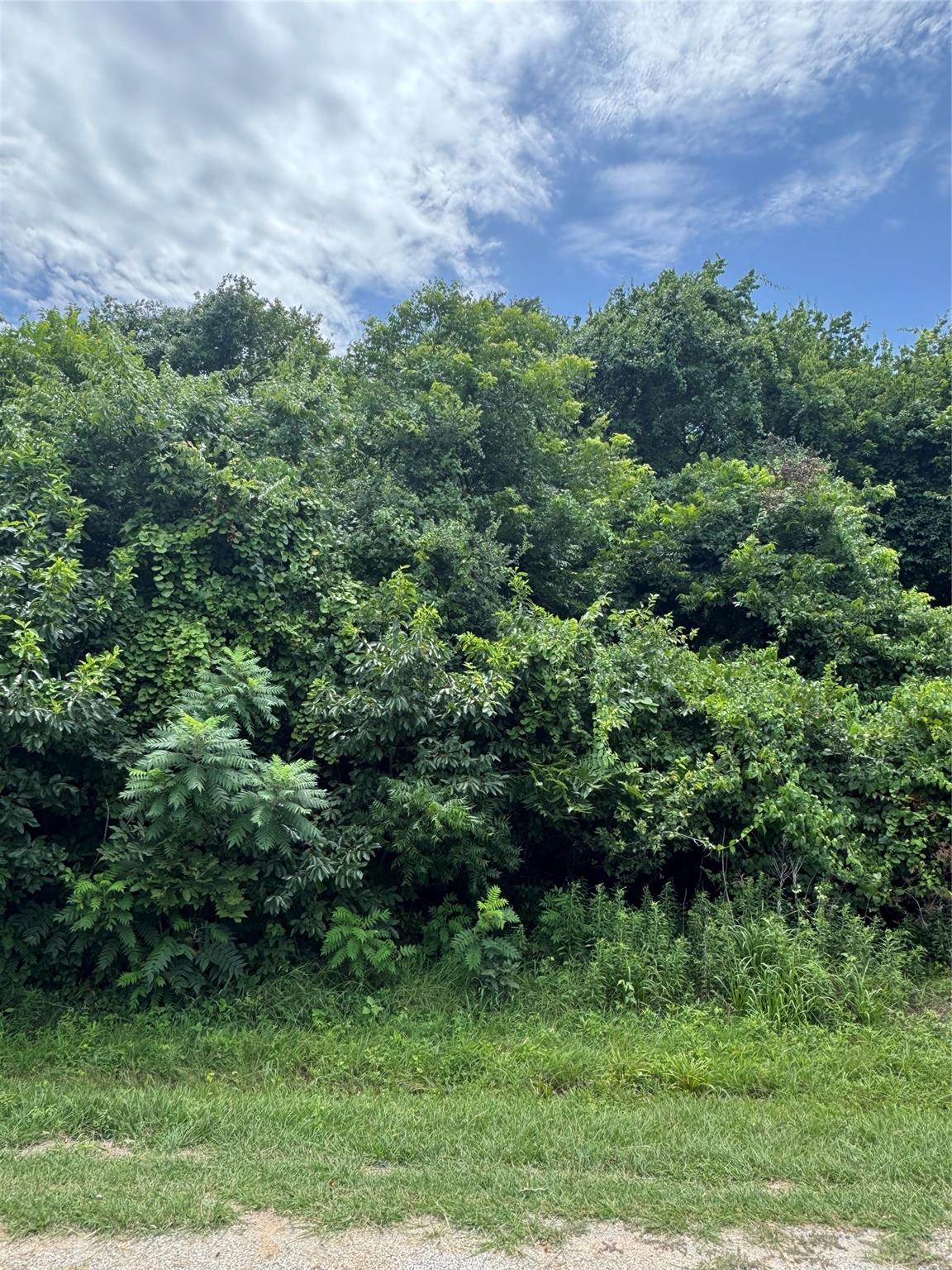 main property photo 0