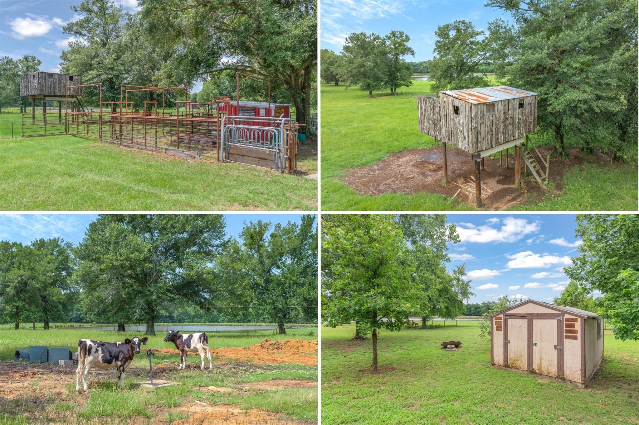 main property photo 38