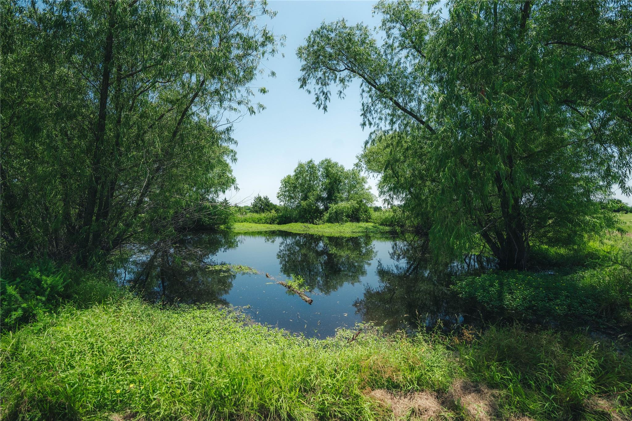 main property photo 29