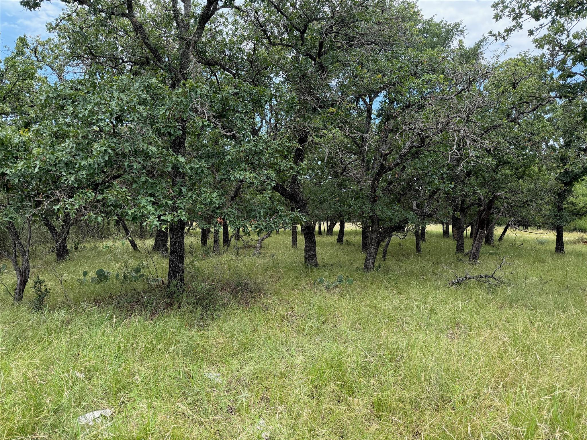 main property photo 0