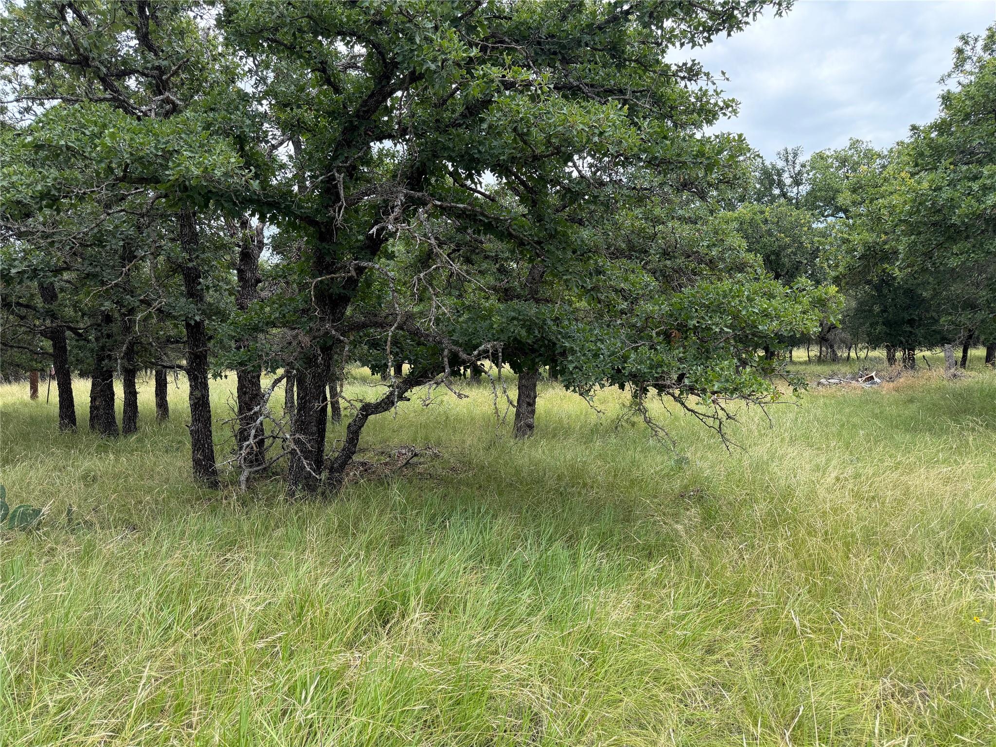 main property photo 9