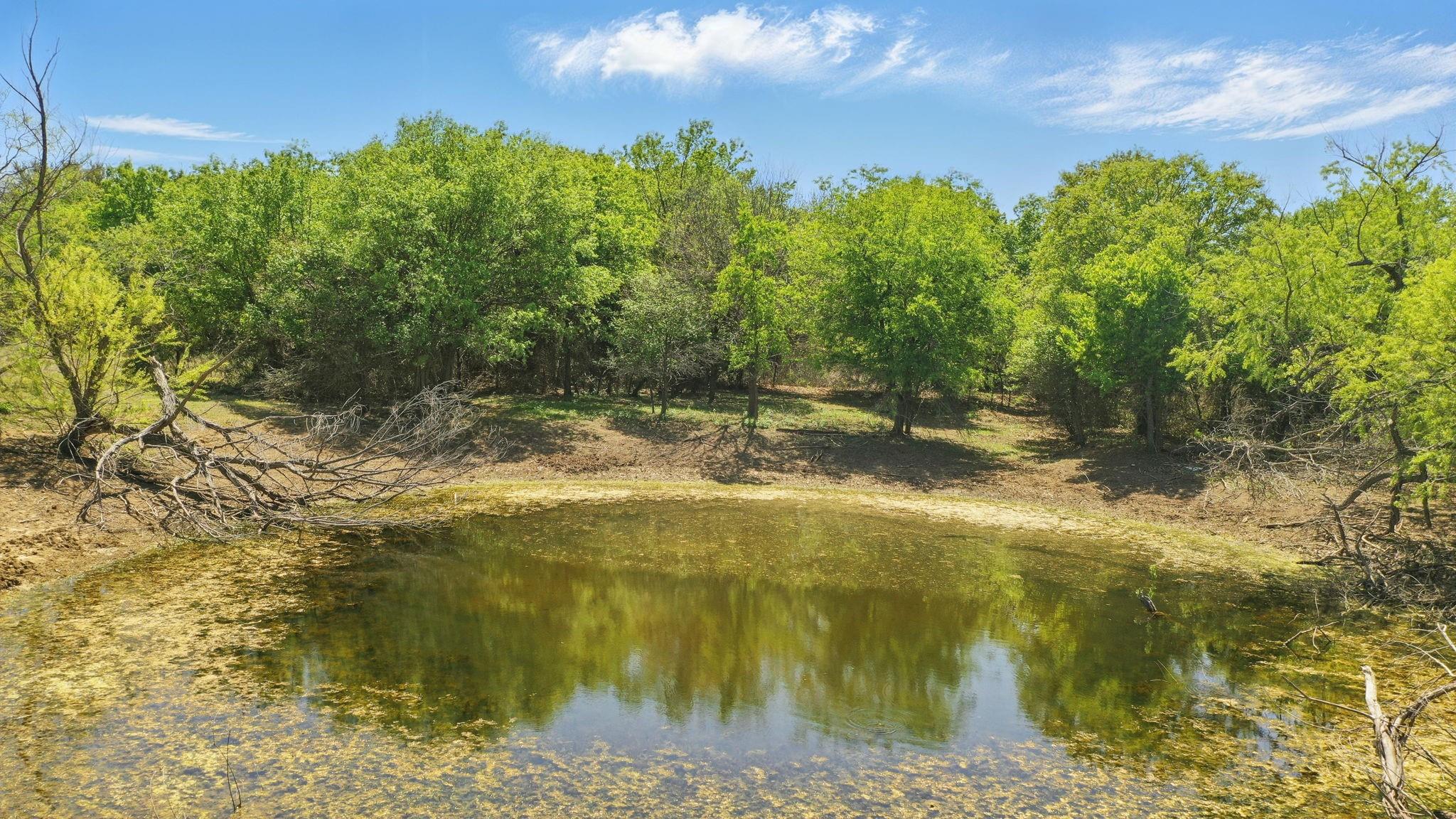 main property photo 17