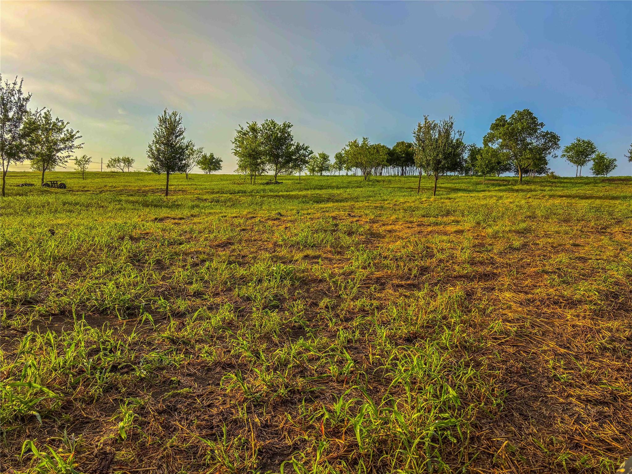 main property photo 39