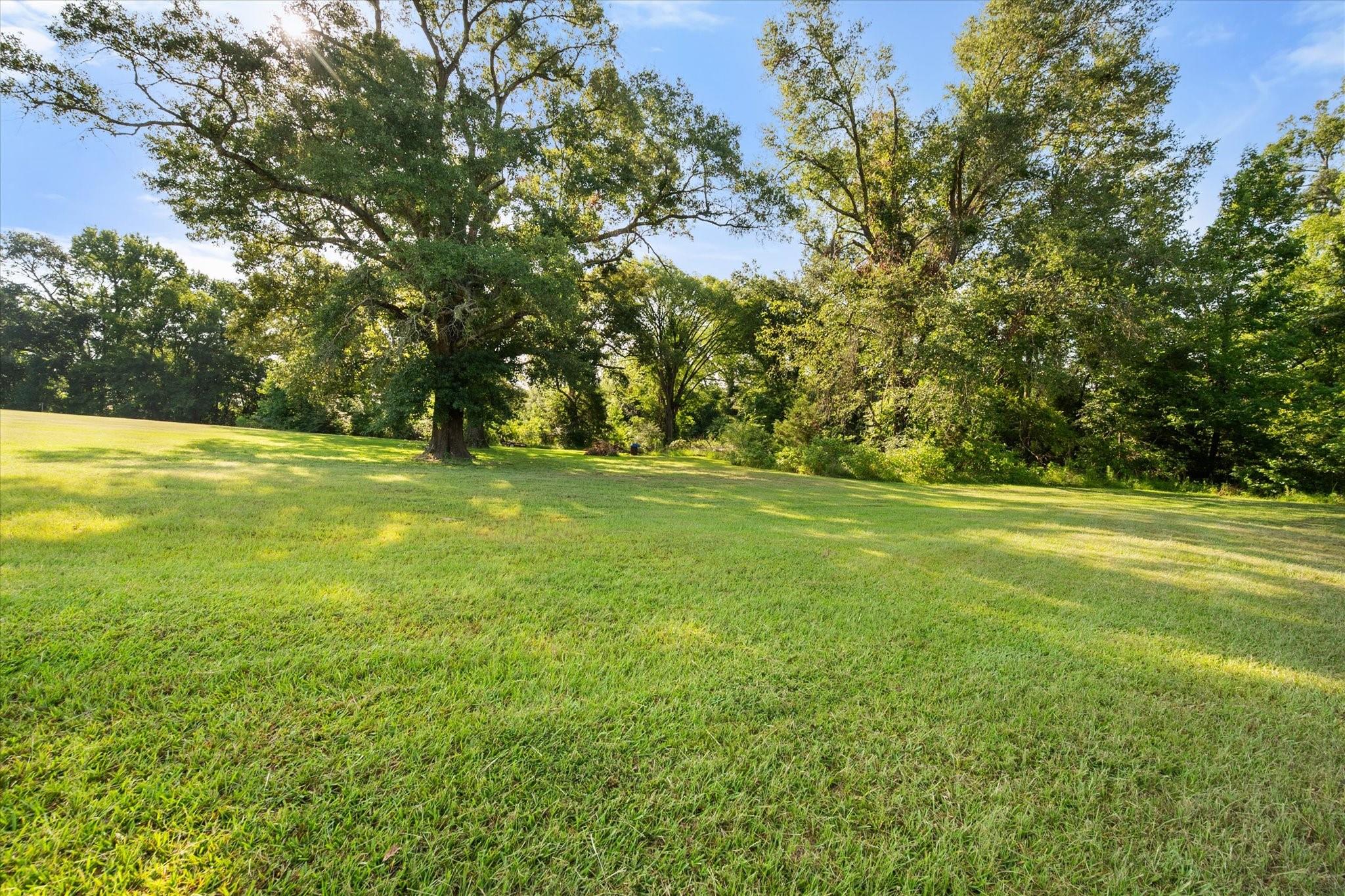 main property photo 36