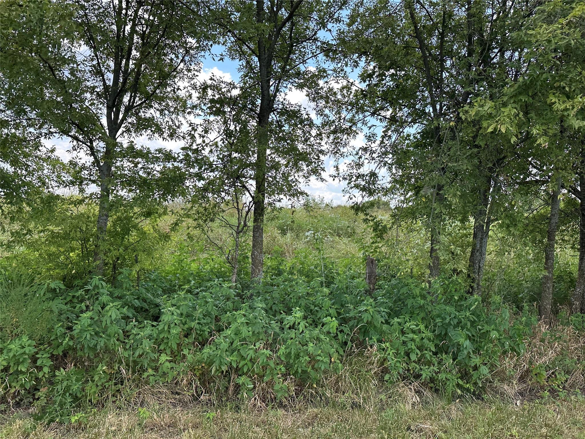 main property photo 13