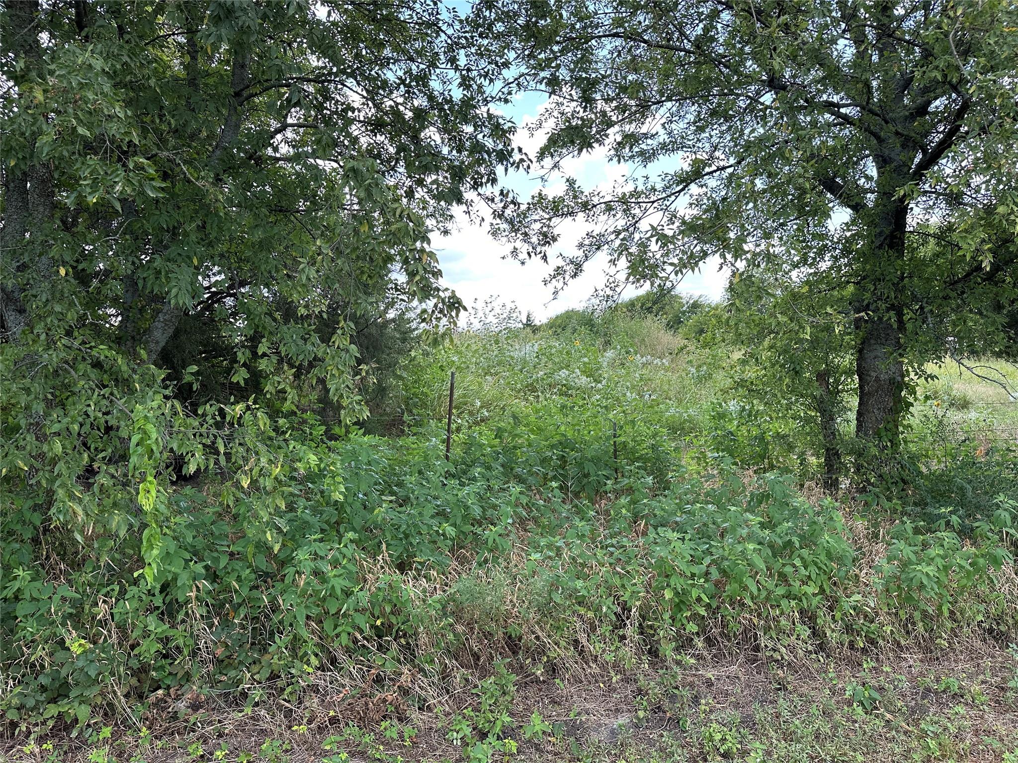 main property photo 14