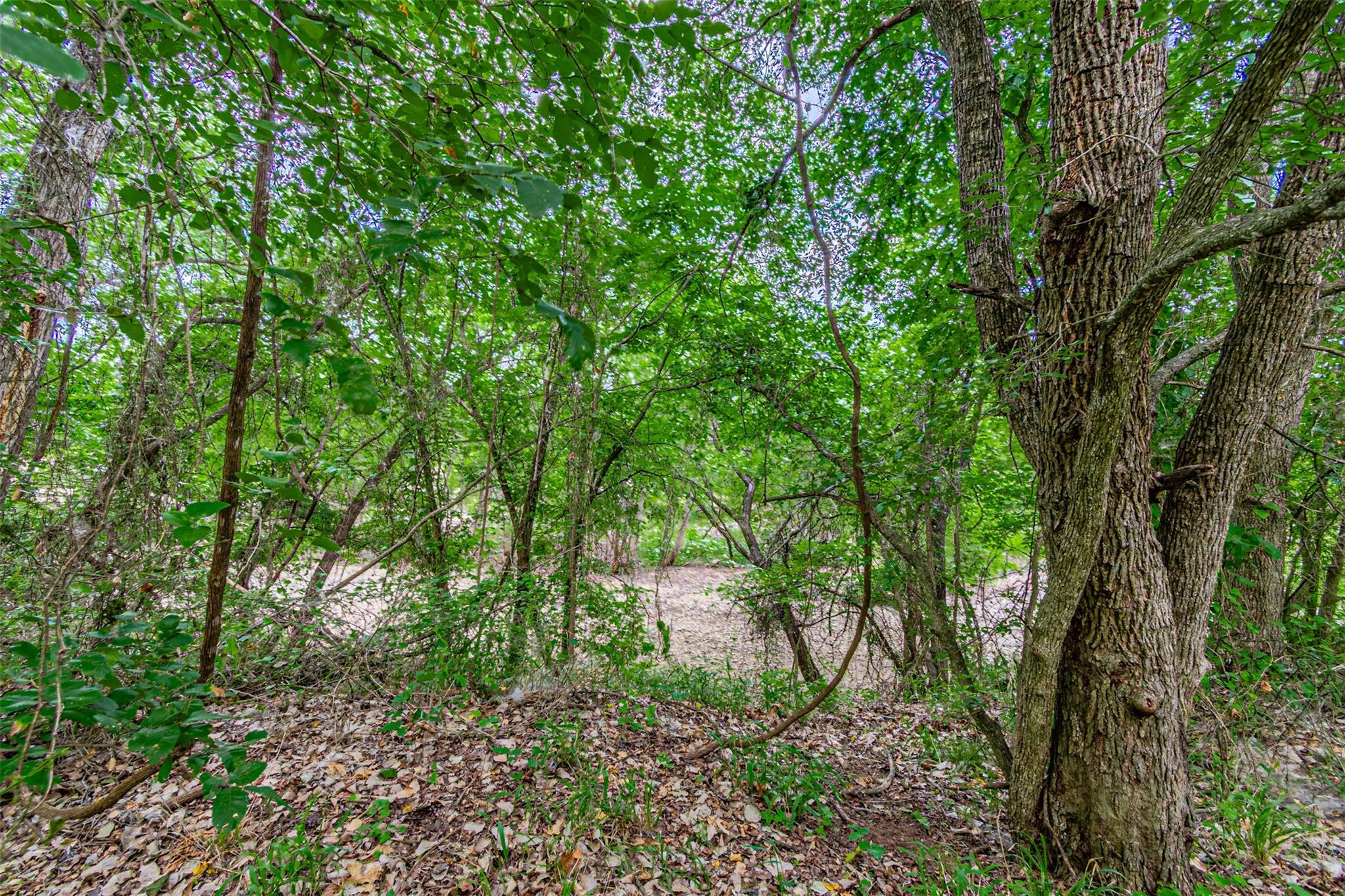 main property photo 36