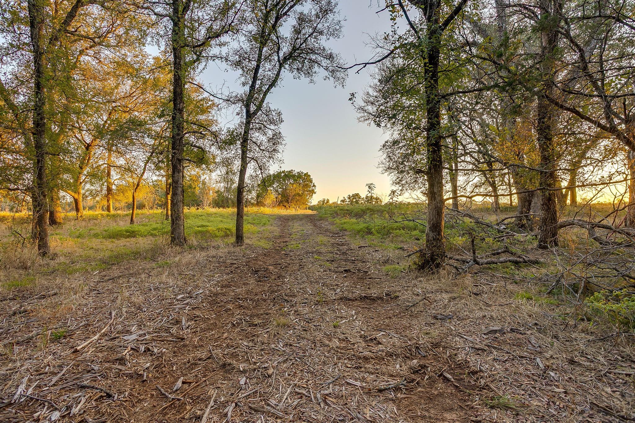 main property photo 10