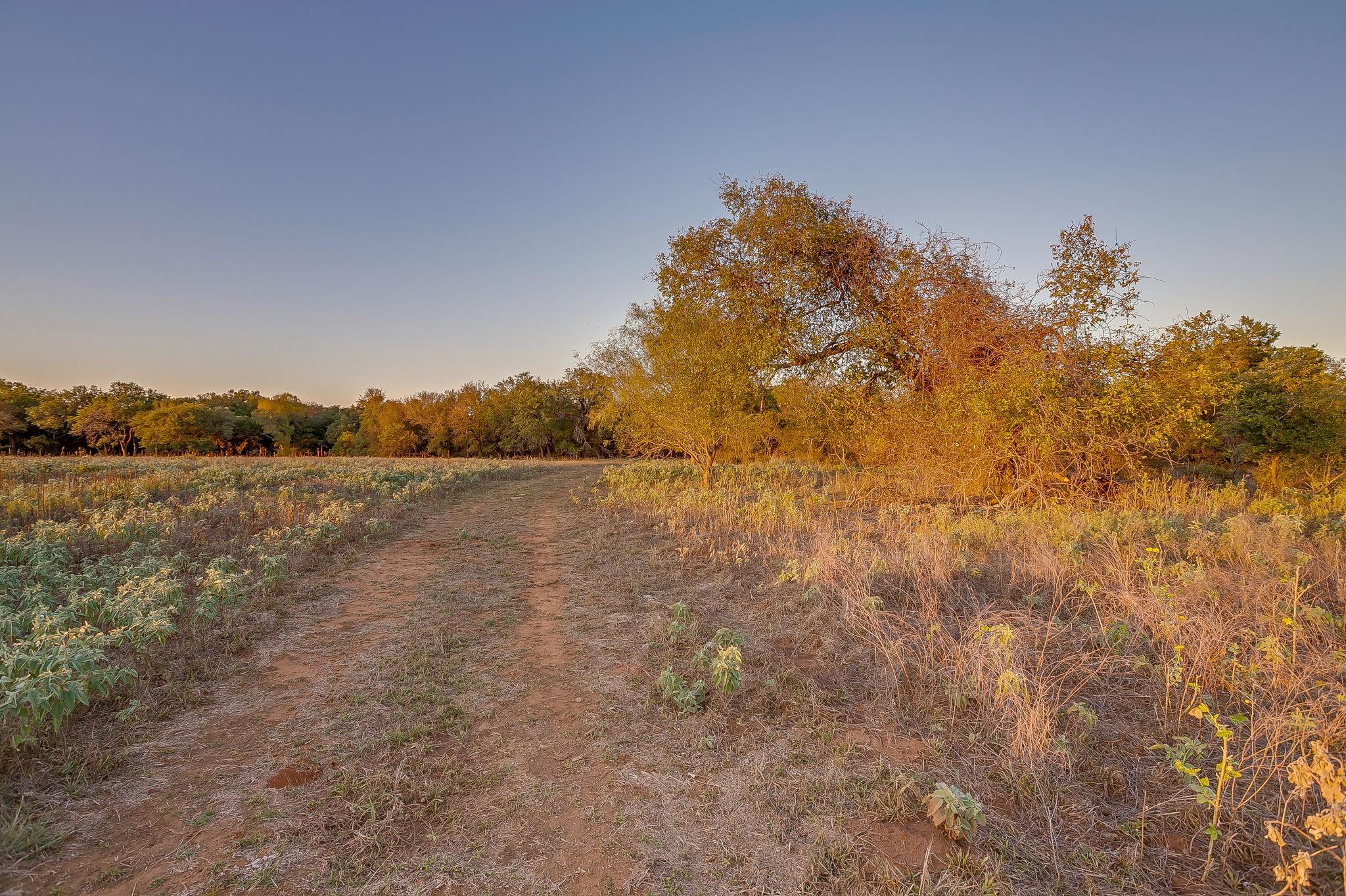 main property photo 24