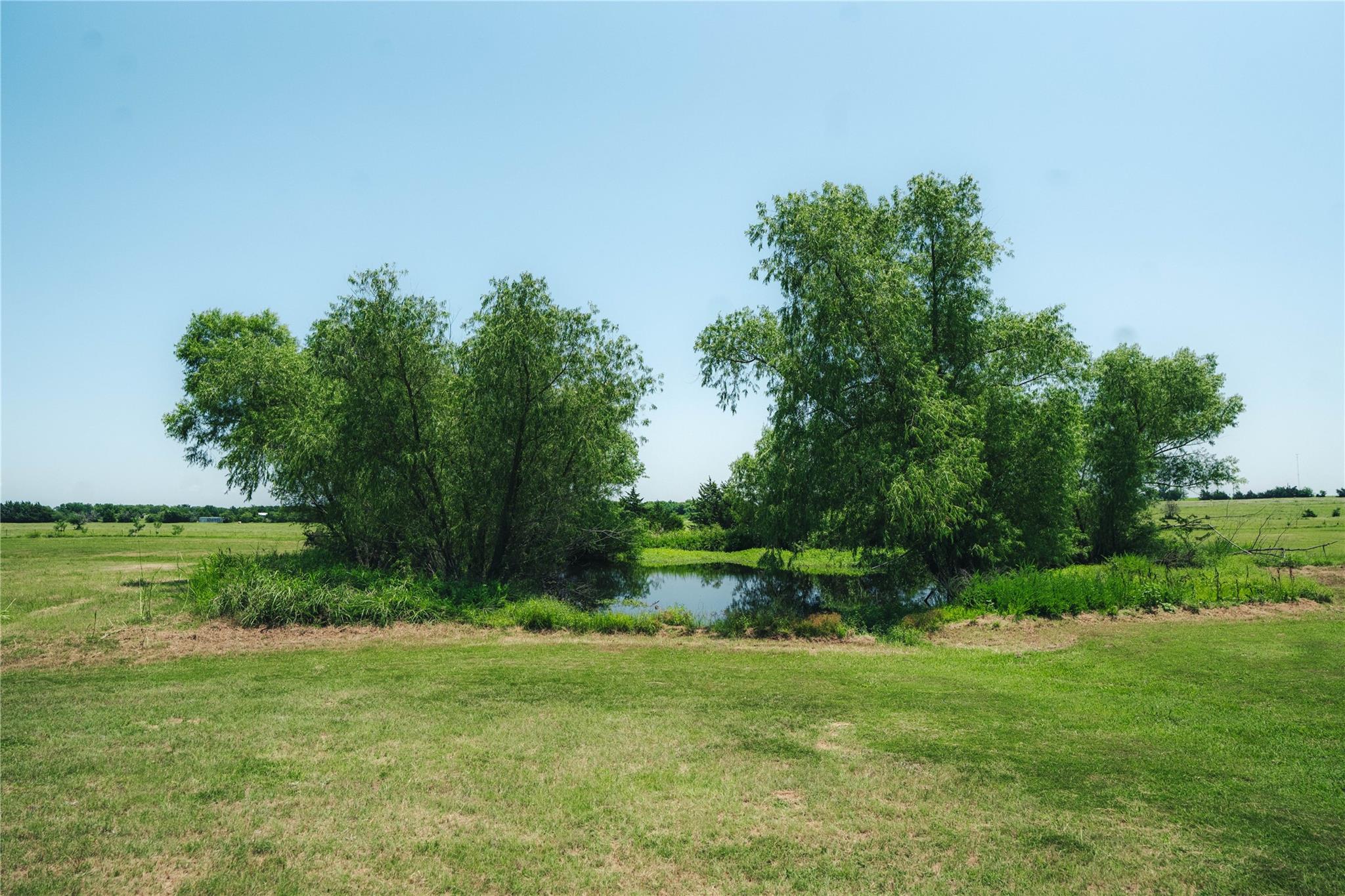 main property photo 10