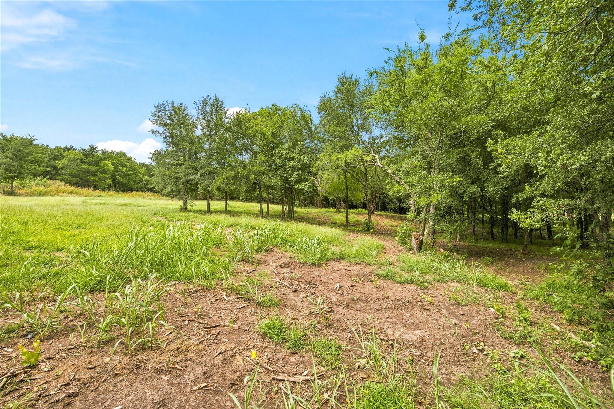 main property photo 21