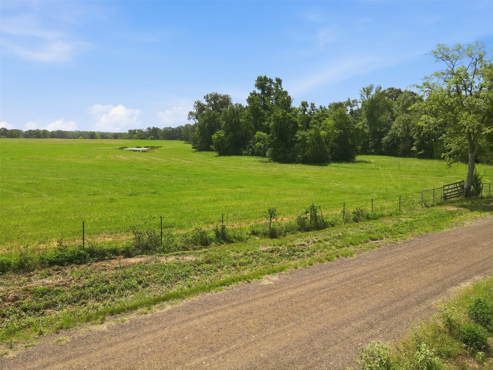 main property photo 21