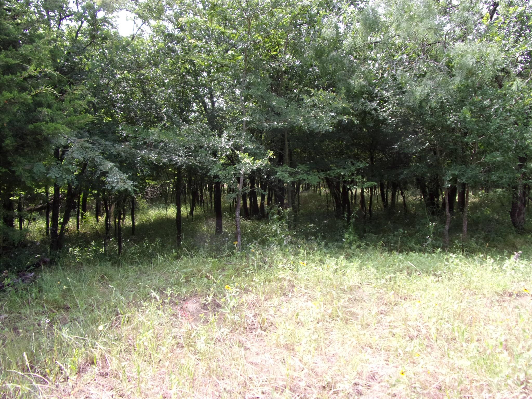main property photo 10
