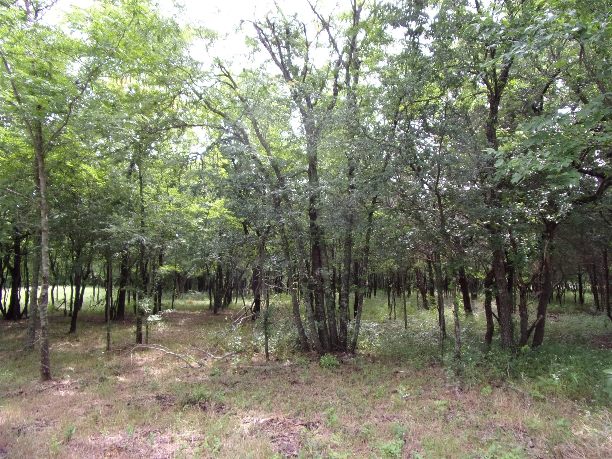 main property photo 12
