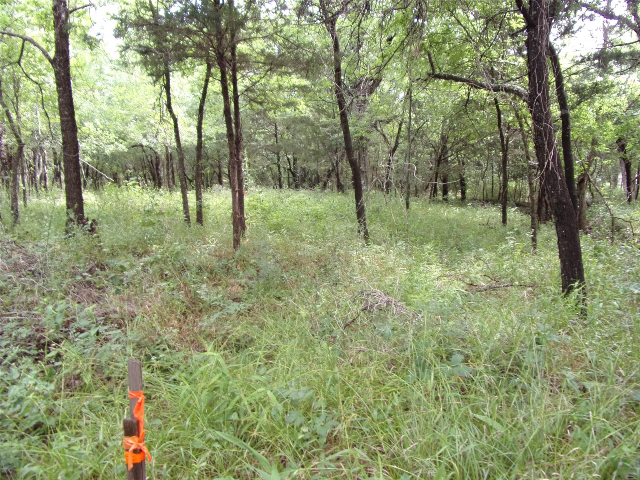 main property photo 15