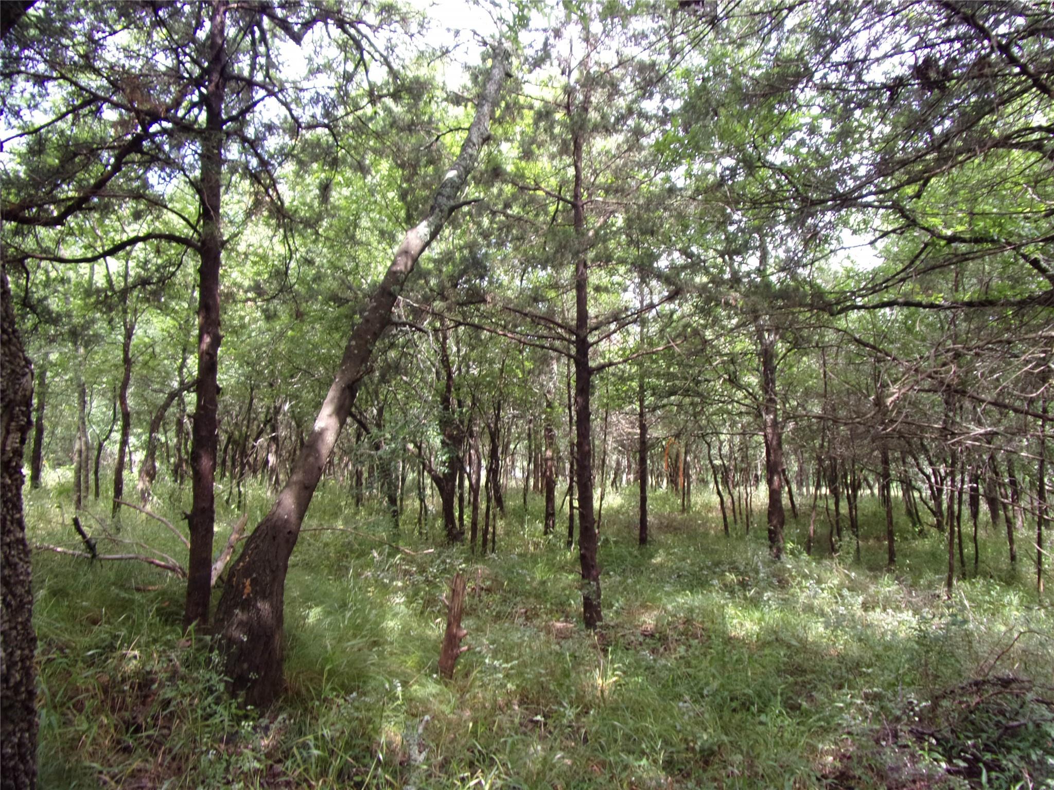 main property photo 17