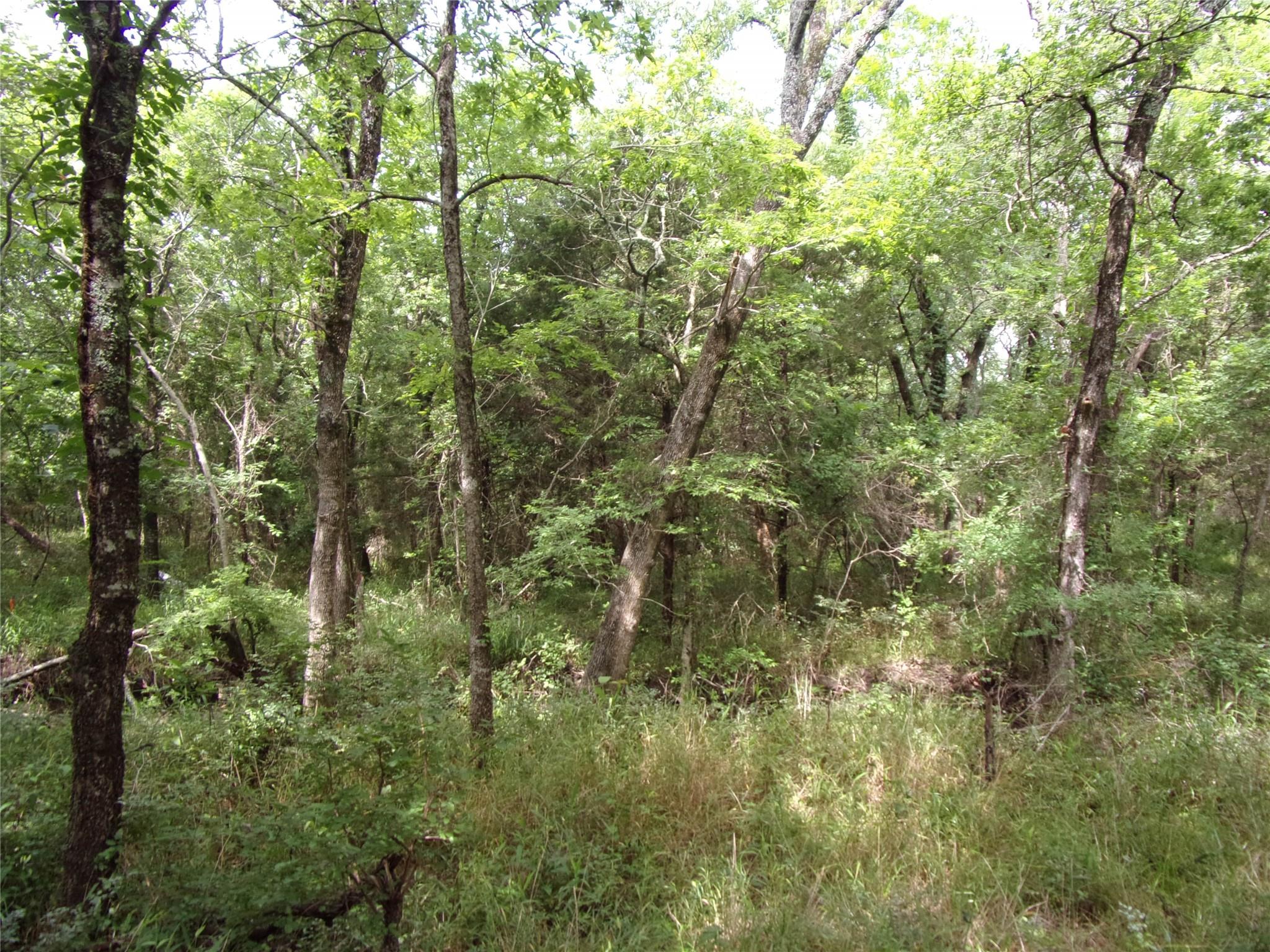 main property photo 23