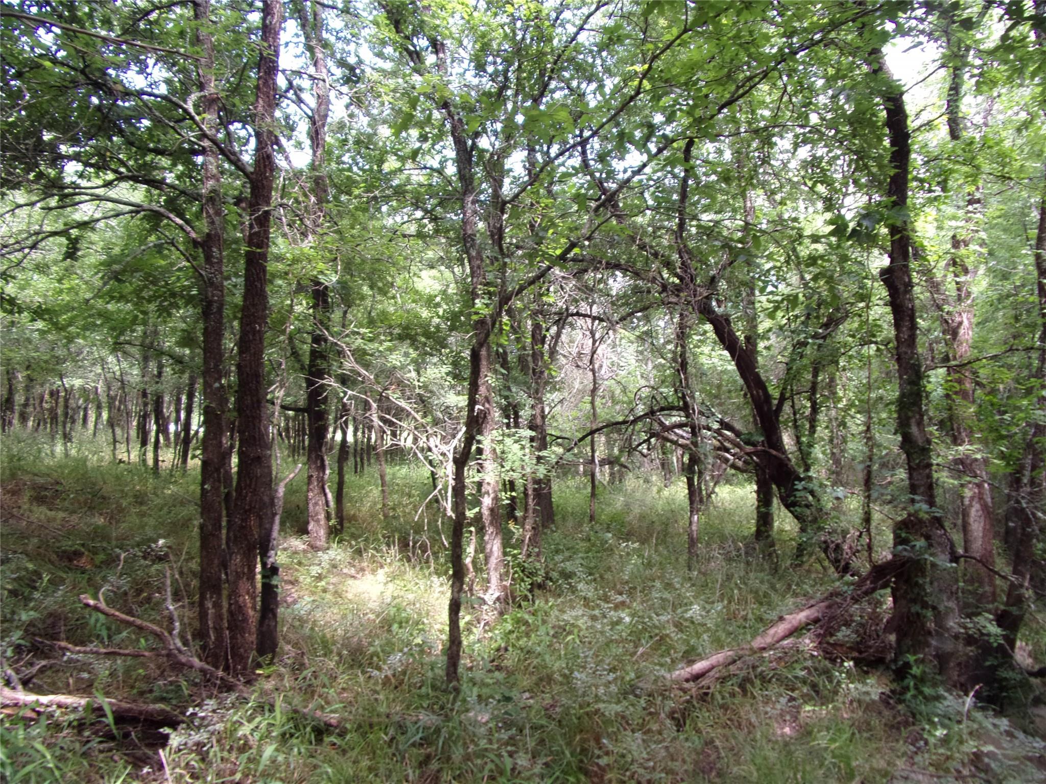 main property photo 27