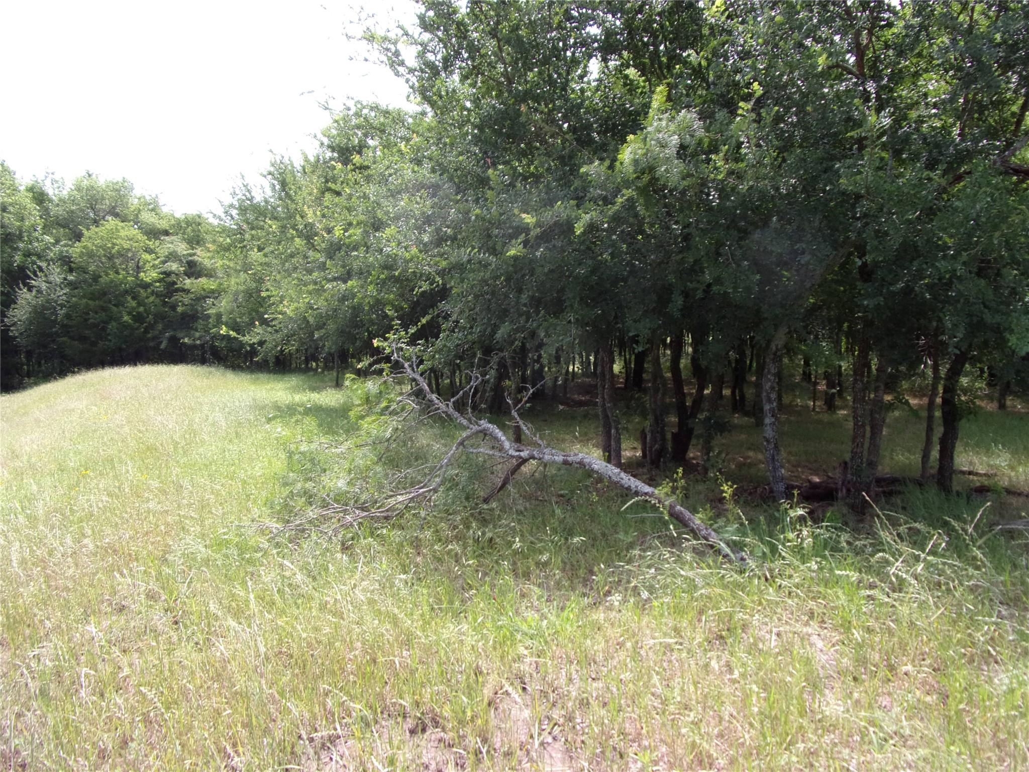 main property photo 7