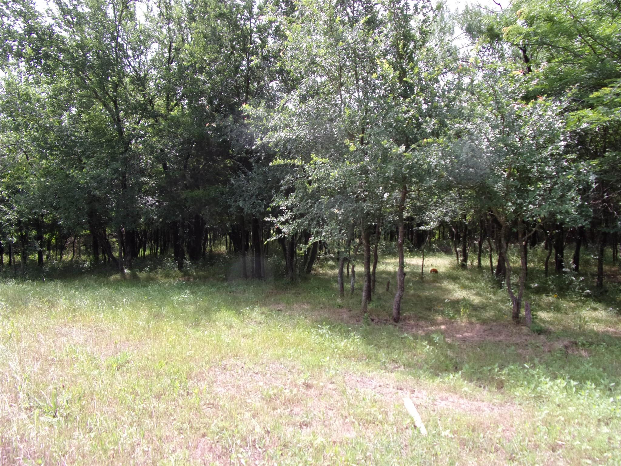main property photo 8