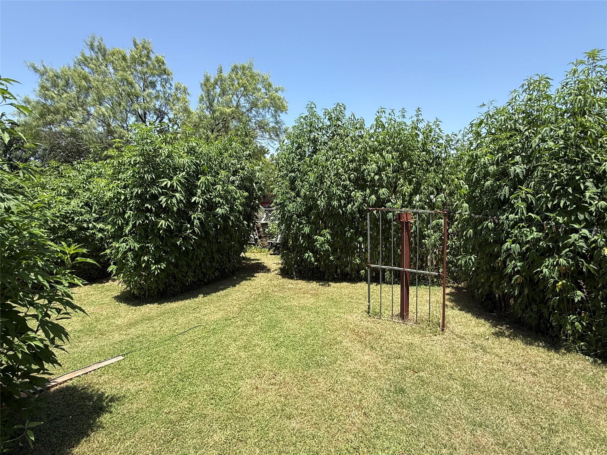 main property photo 20