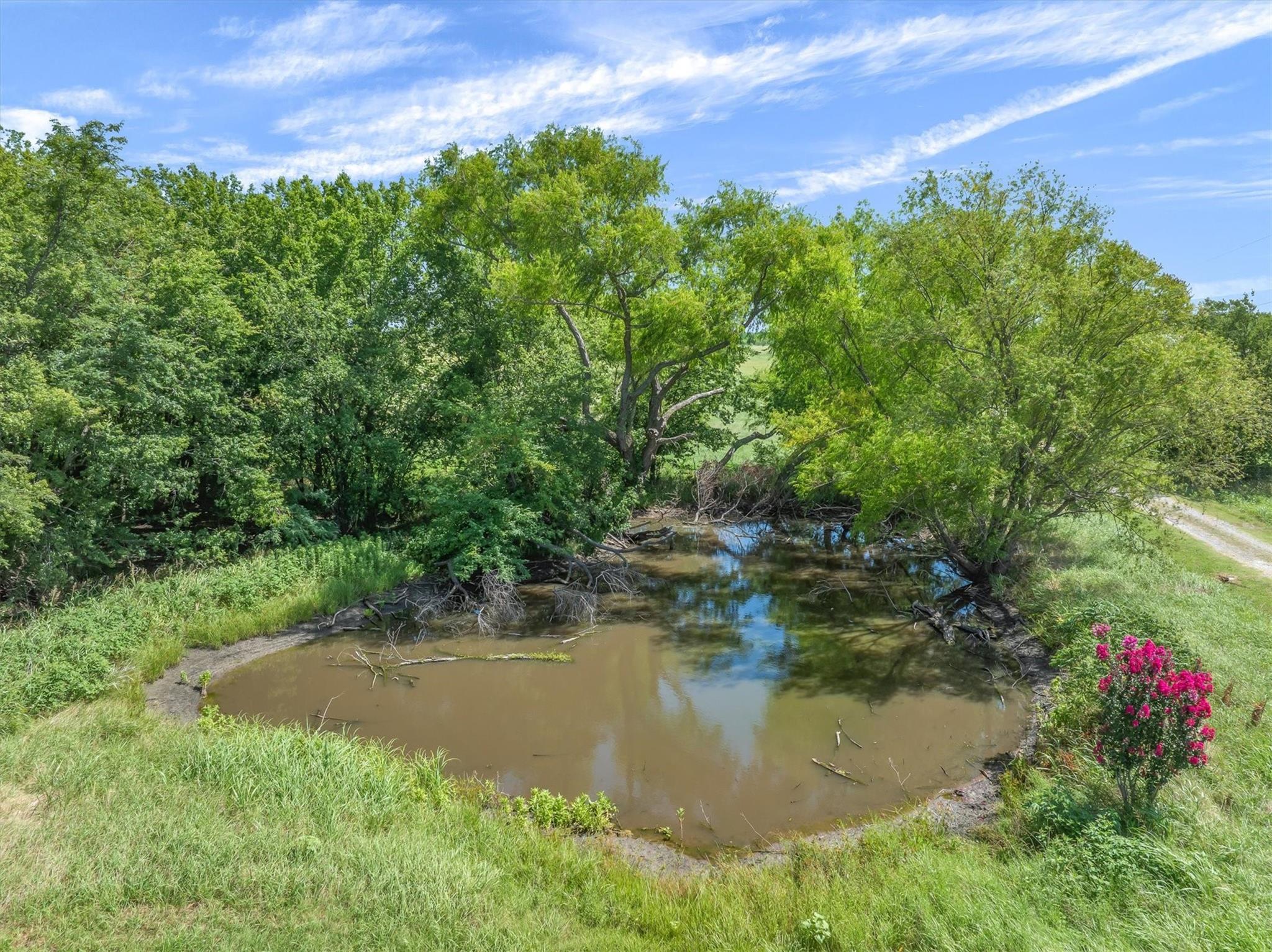 main property photo 10