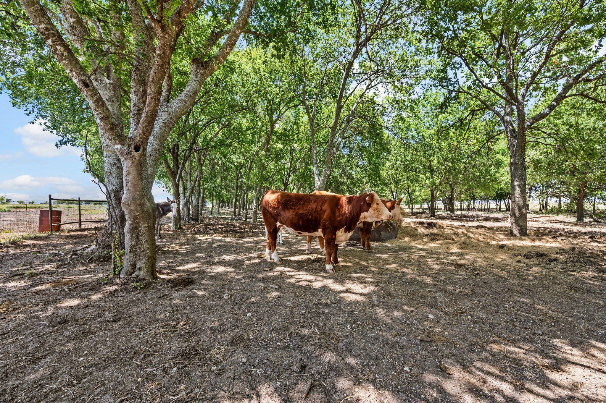 main property photo 28