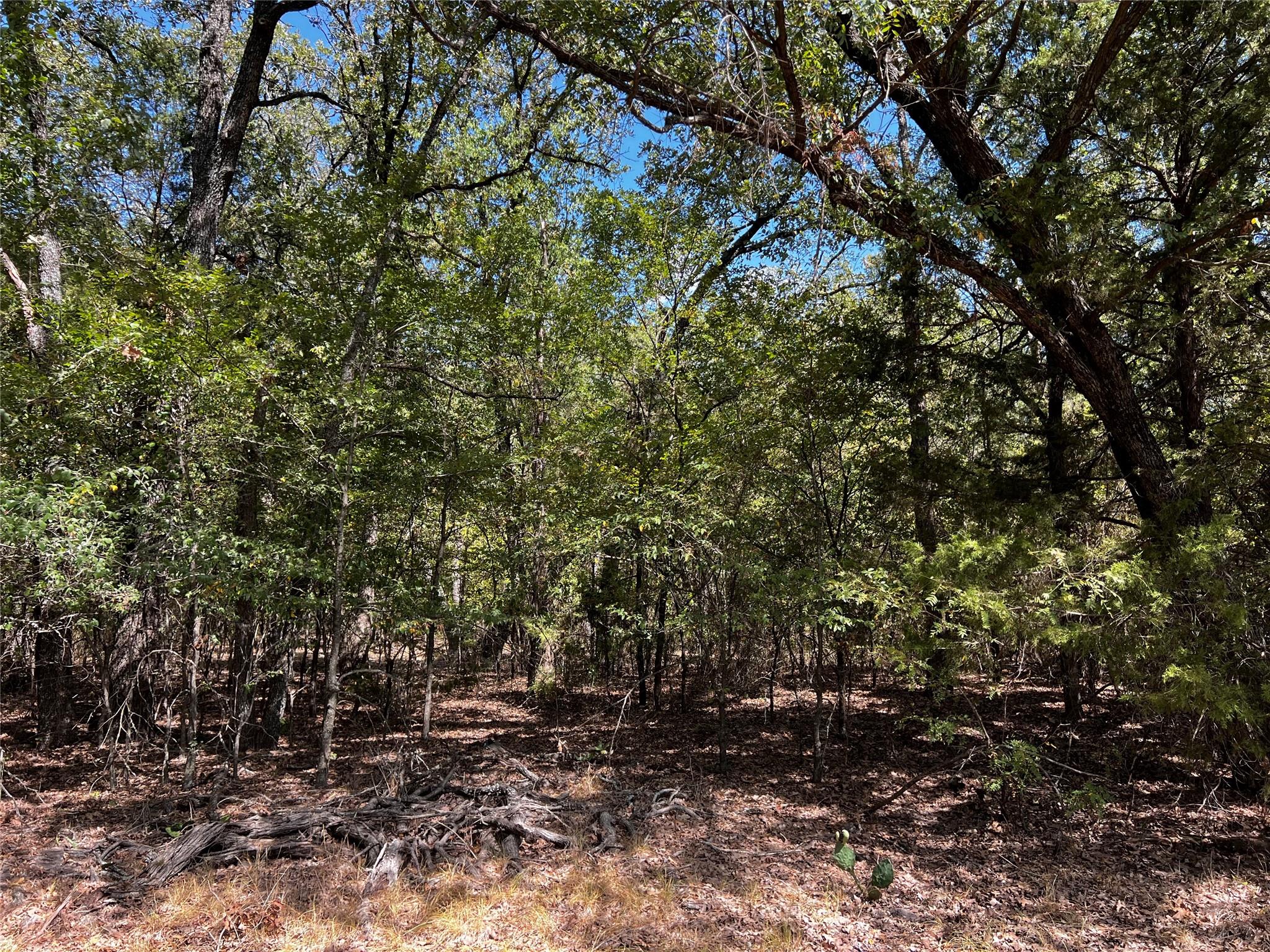 main property photo 32