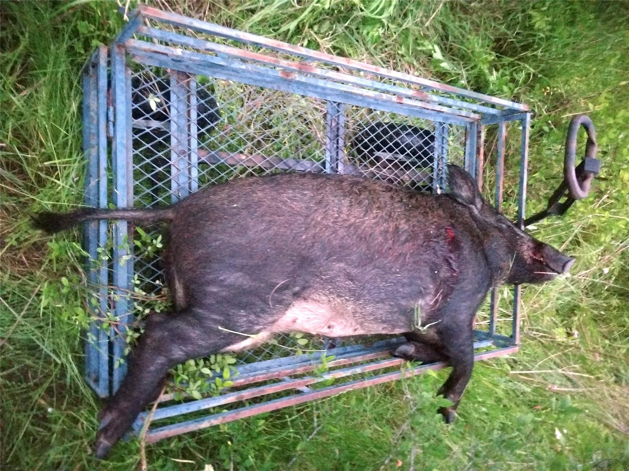 main property photo 28