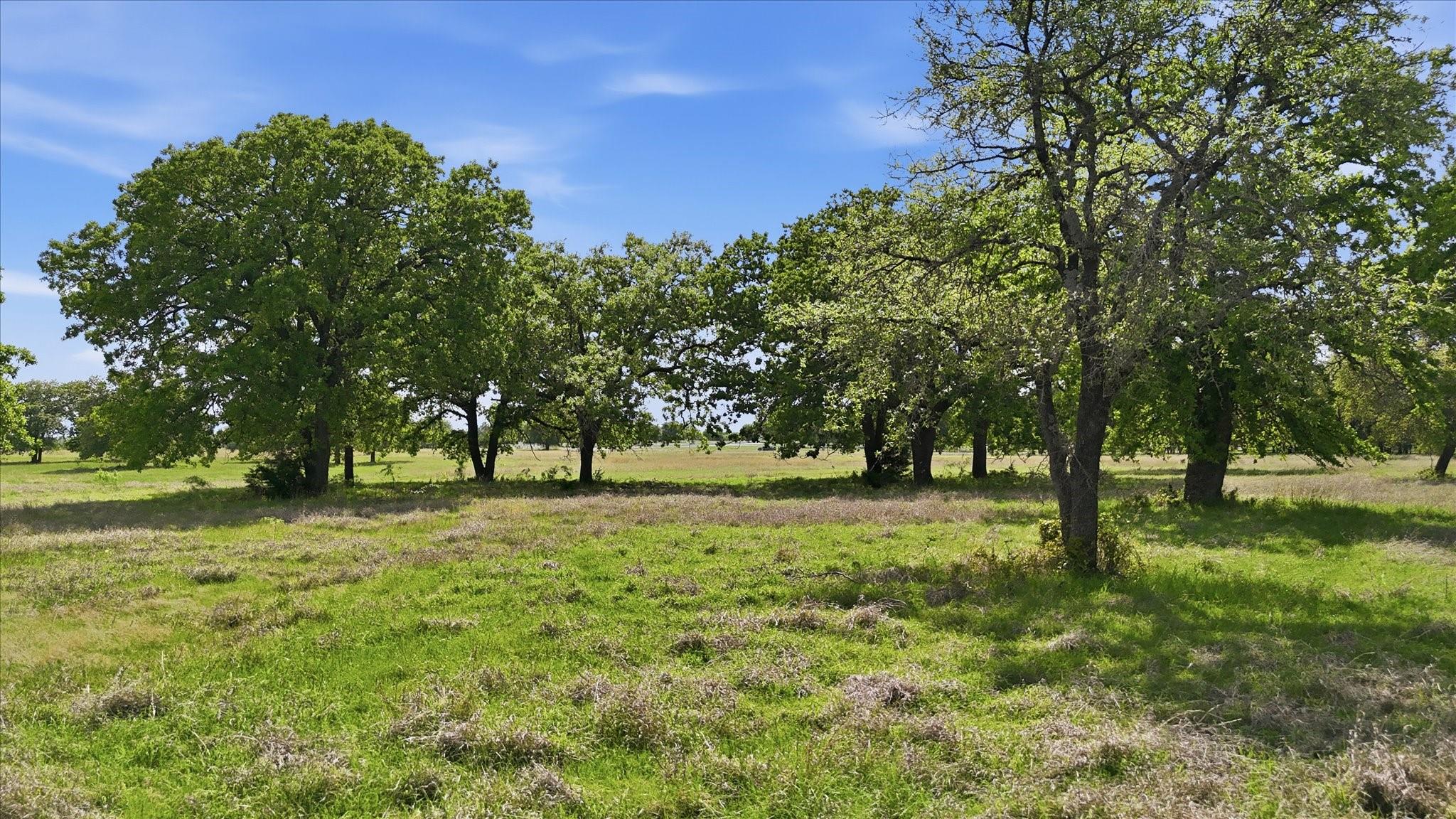main property photo 10