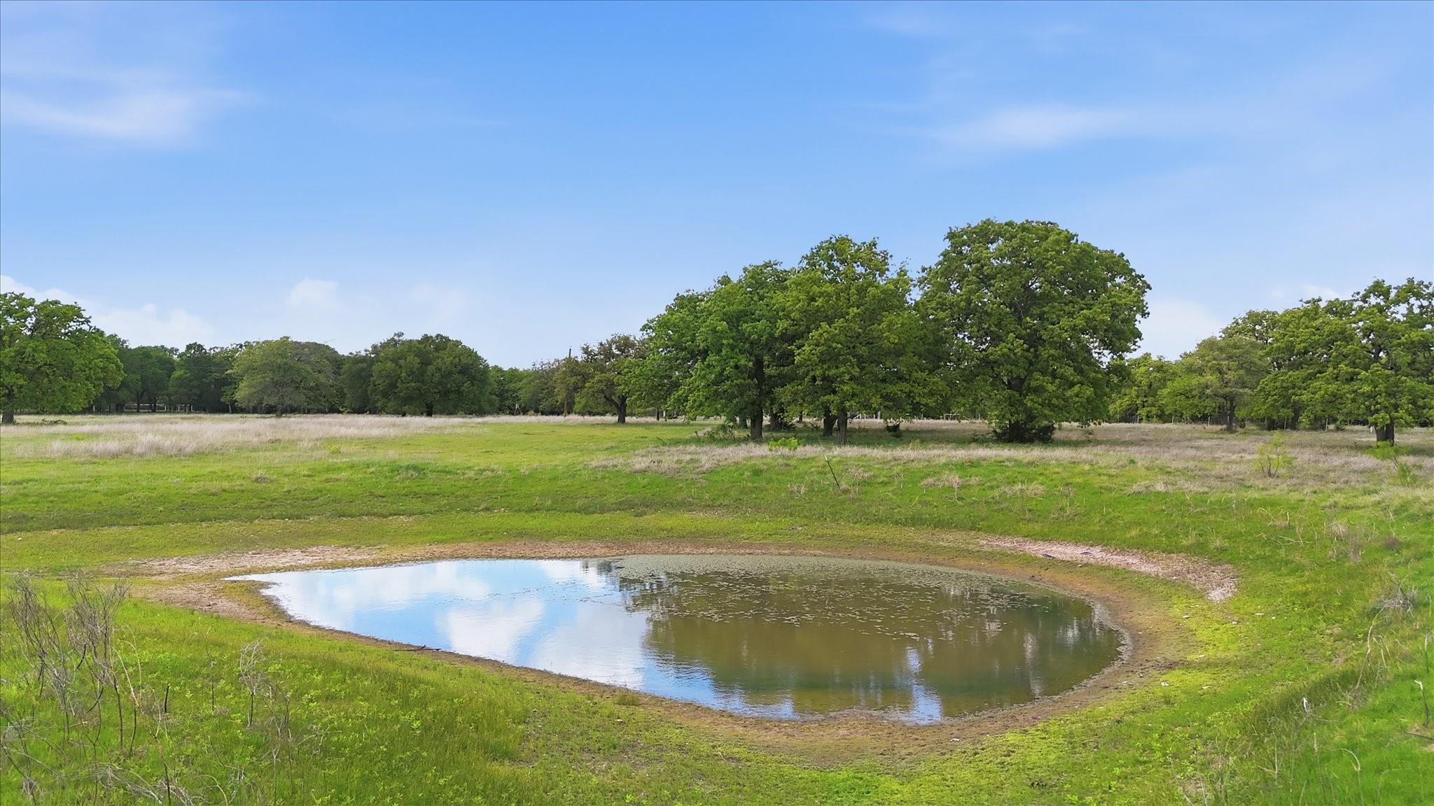 main property photo 19