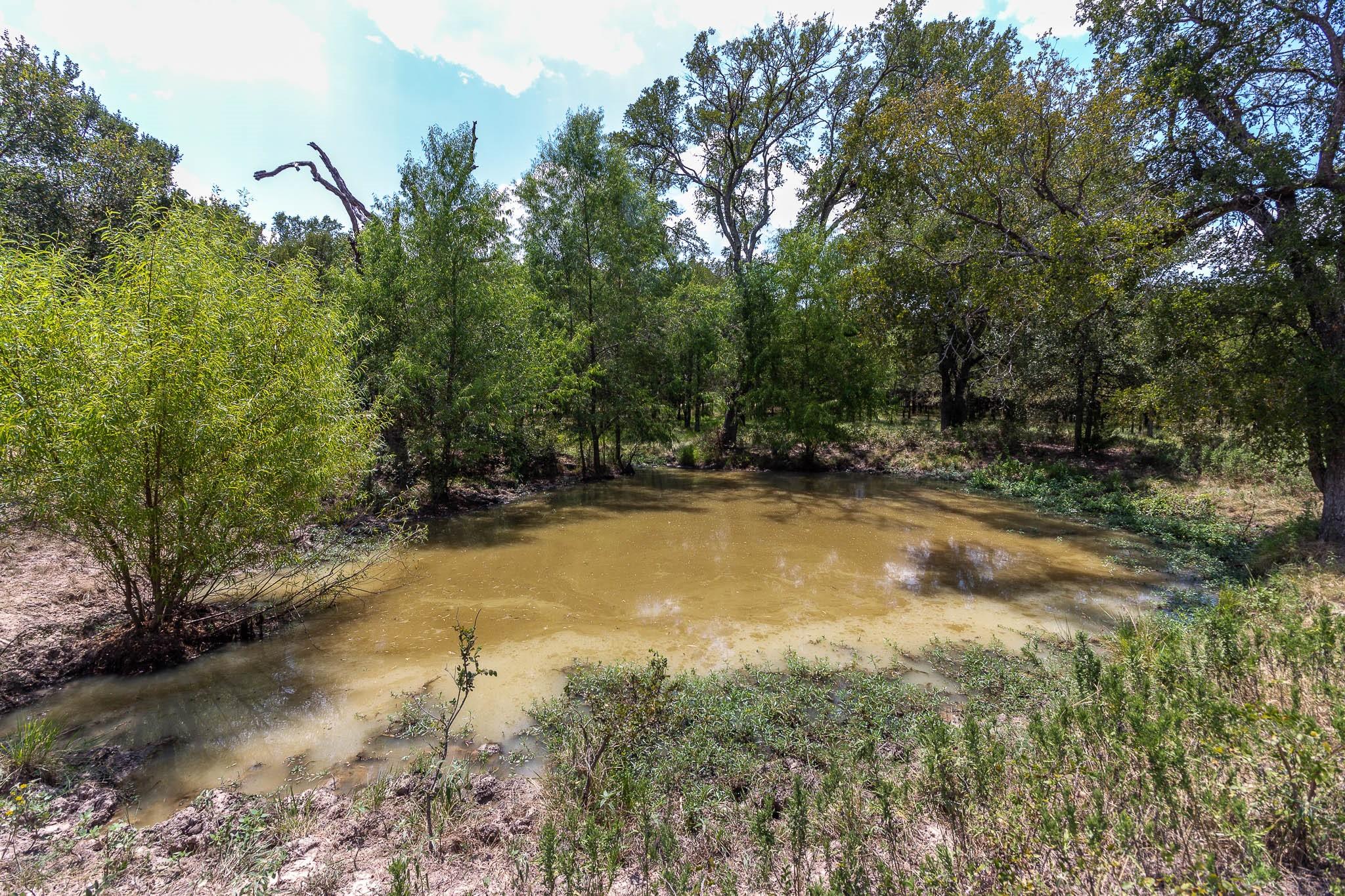 main property photo 10