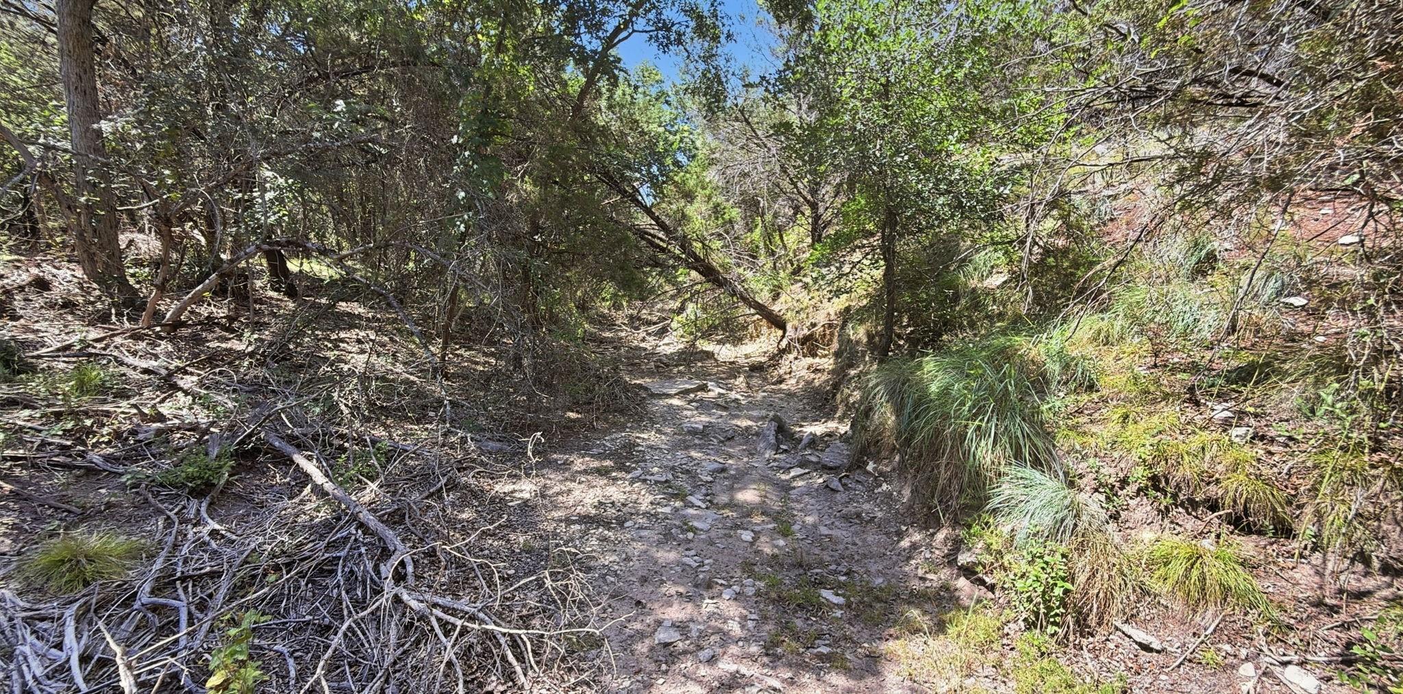 main property photo 10
