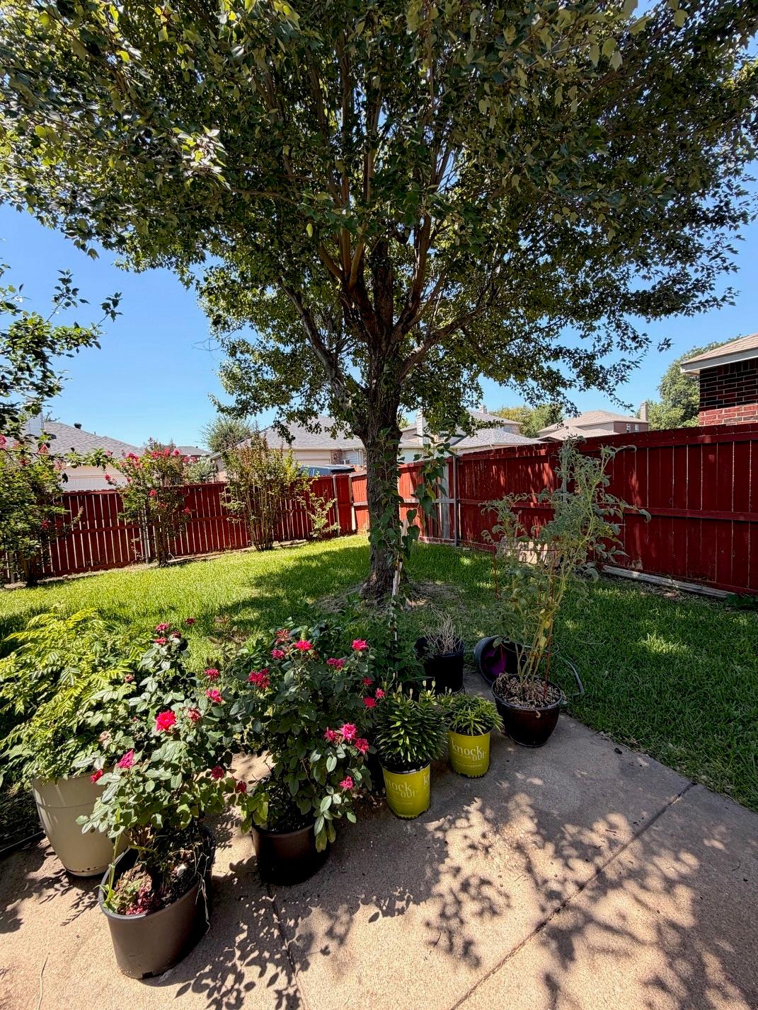 main property photo 11